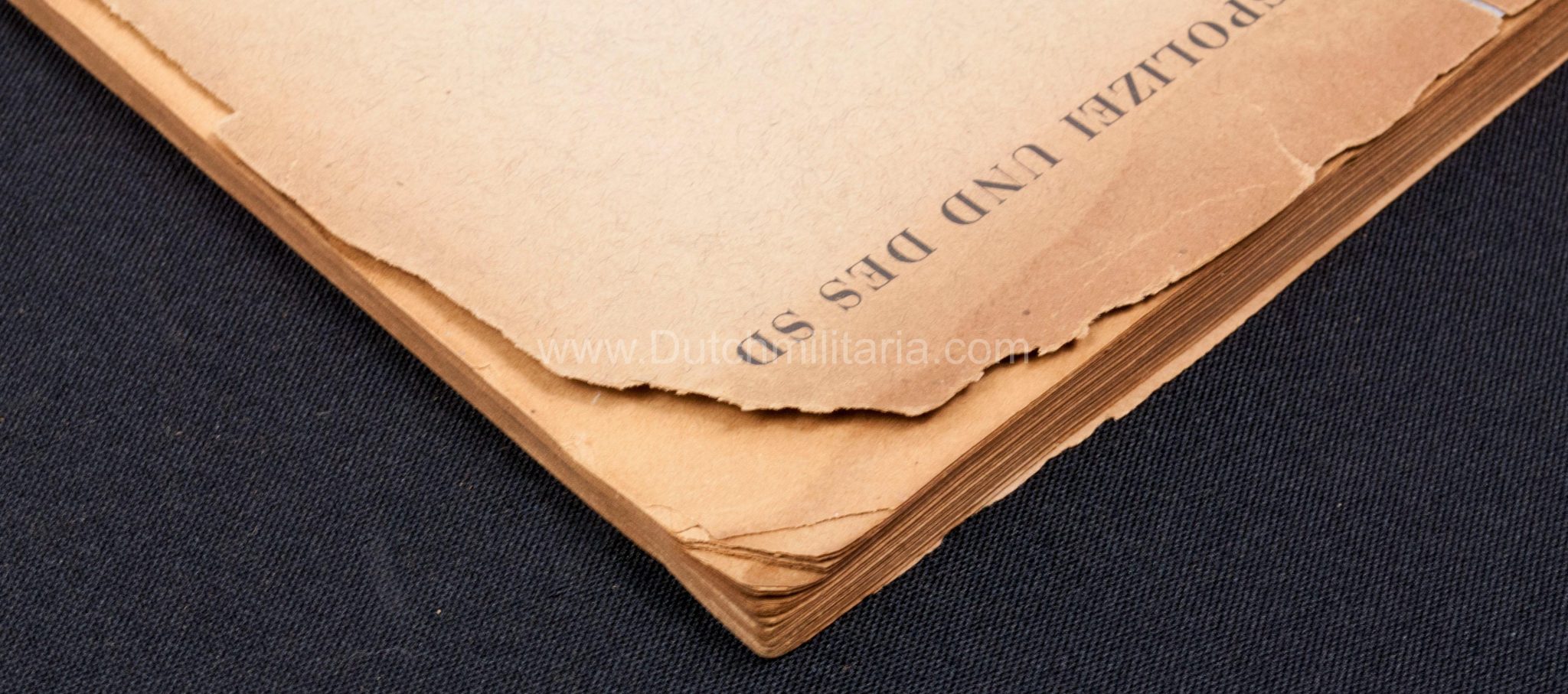 (Book) SS - Der Chef der Sicherheitspolizei und des SD - Der Rassegedanke und seine gesetzliche Gestaltung (1940) - EXTREMELY RARE!!! - Image 15