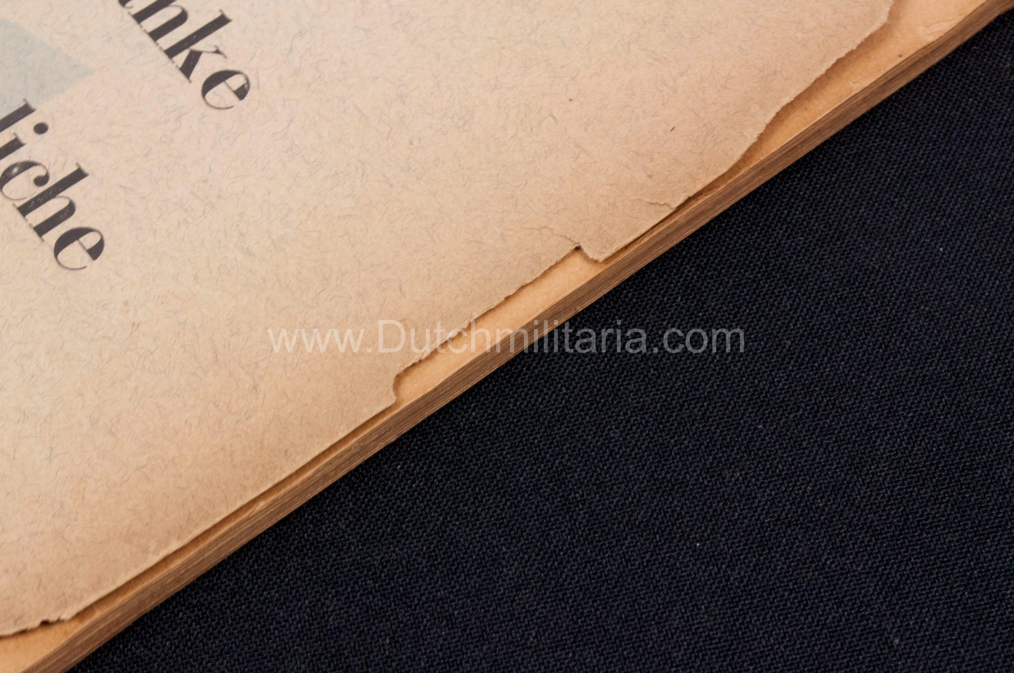 (Book) SS - Der Chef der Sicherheitspolizei und des SD - Der Rassegedanke und seine gesetzliche Gestaltung (1940) - EXTREMELY RARE!!! - Image 16