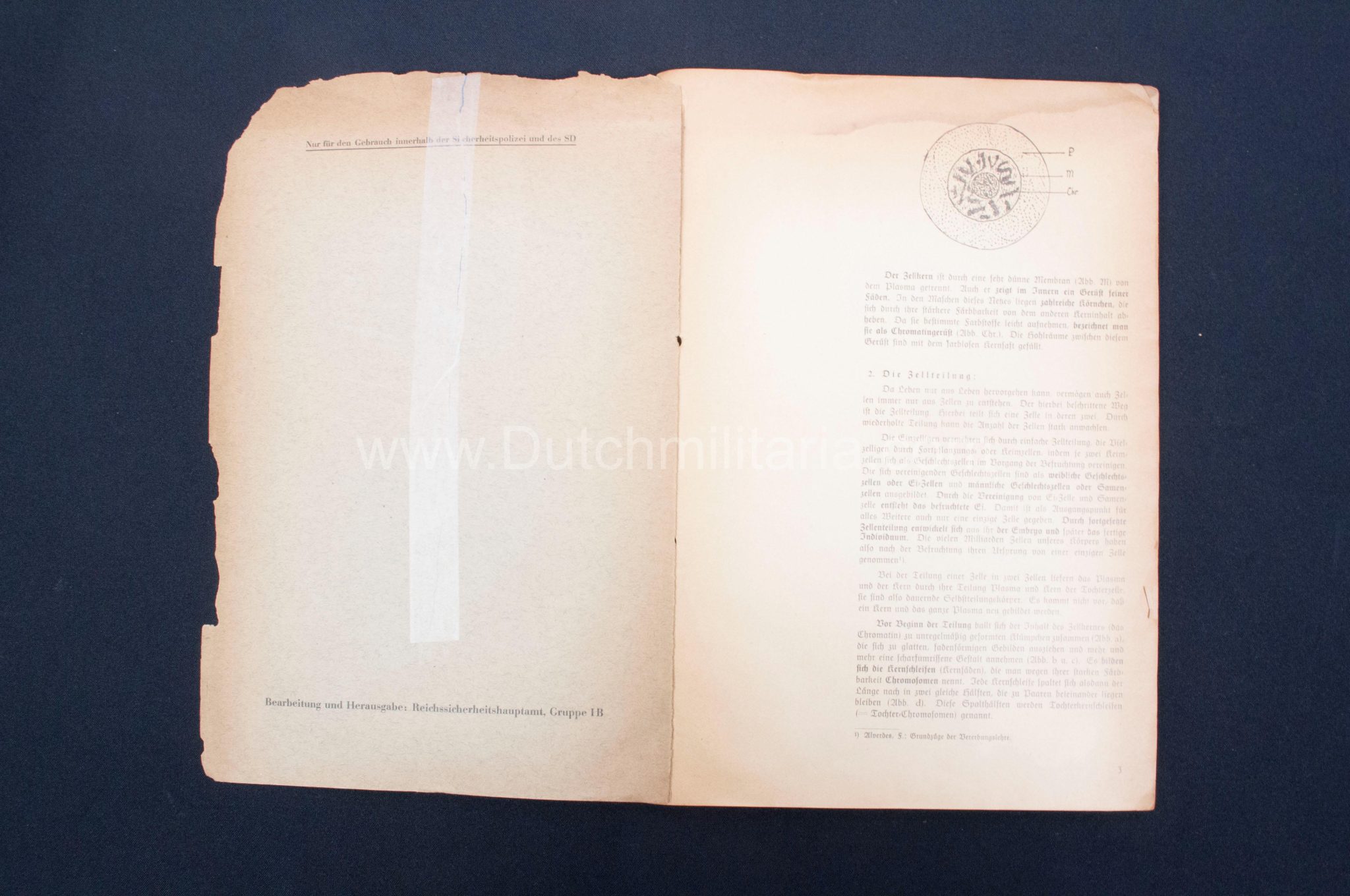 (Book) SS - Der Chef der Sicherheitspolizei und des SD - Der Rassegedanke und seine gesetzliche Gestaltung (1940) - EXTREMELY RARE!!! - Image 25