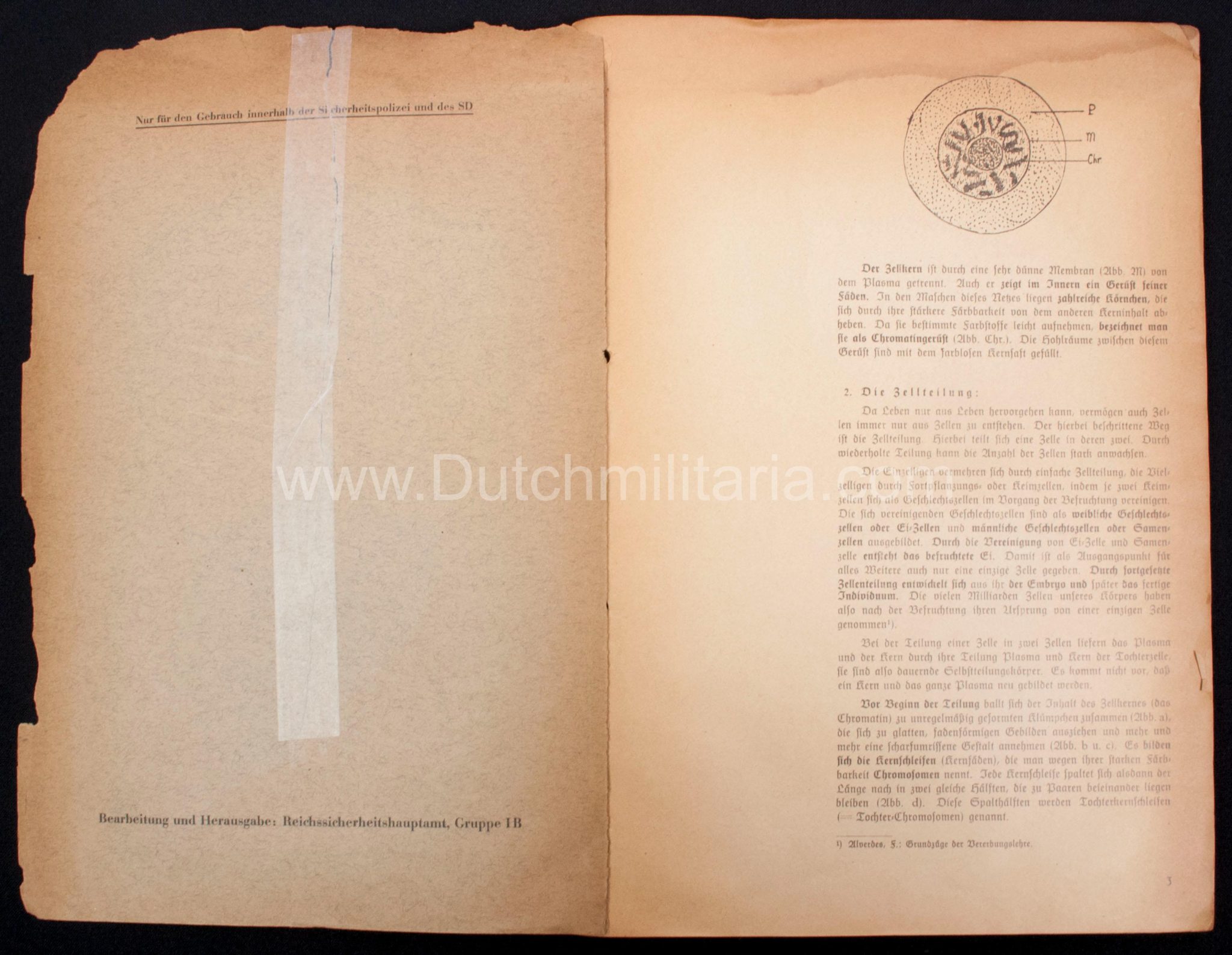 (Book) SS - Der Chef der Sicherheitspolizei und des SD - Der Rassegedanke und seine gesetzliche Gestaltung (1940) - EXTREMELY RARE!!! - Image 26