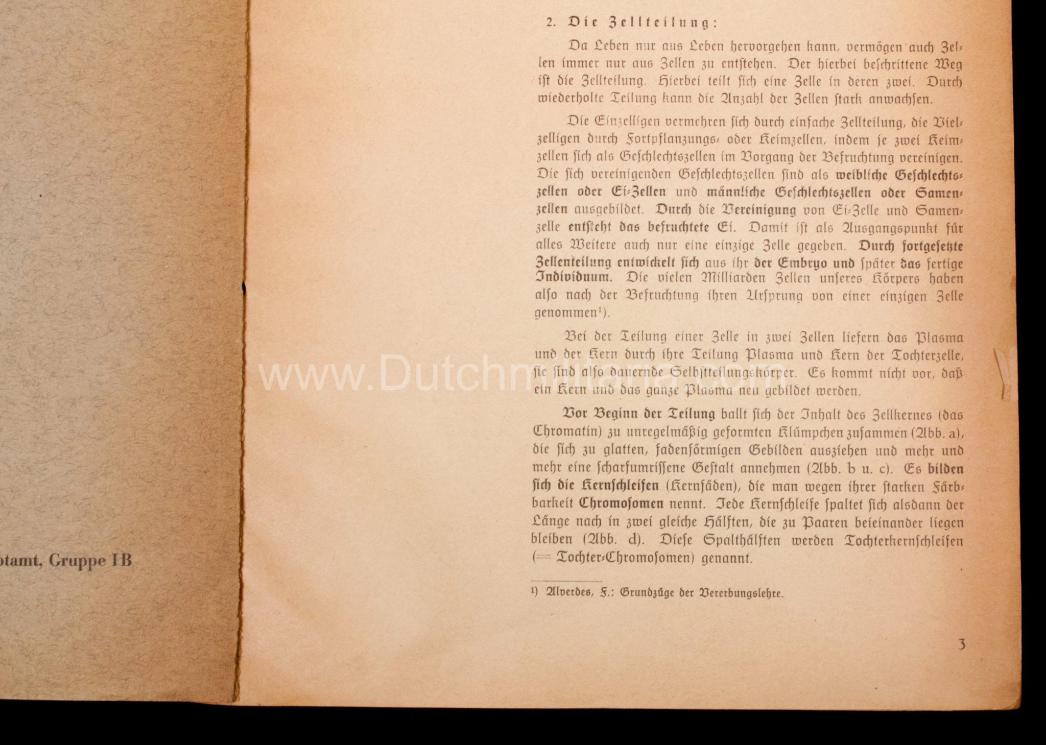 (Book) SS - Der Chef der Sicherheitspolizei und des SD - Der Rassegedanke und seine gesetzliche Gestaltung (1940) - EXTREMELY RARE!!! - Image 33