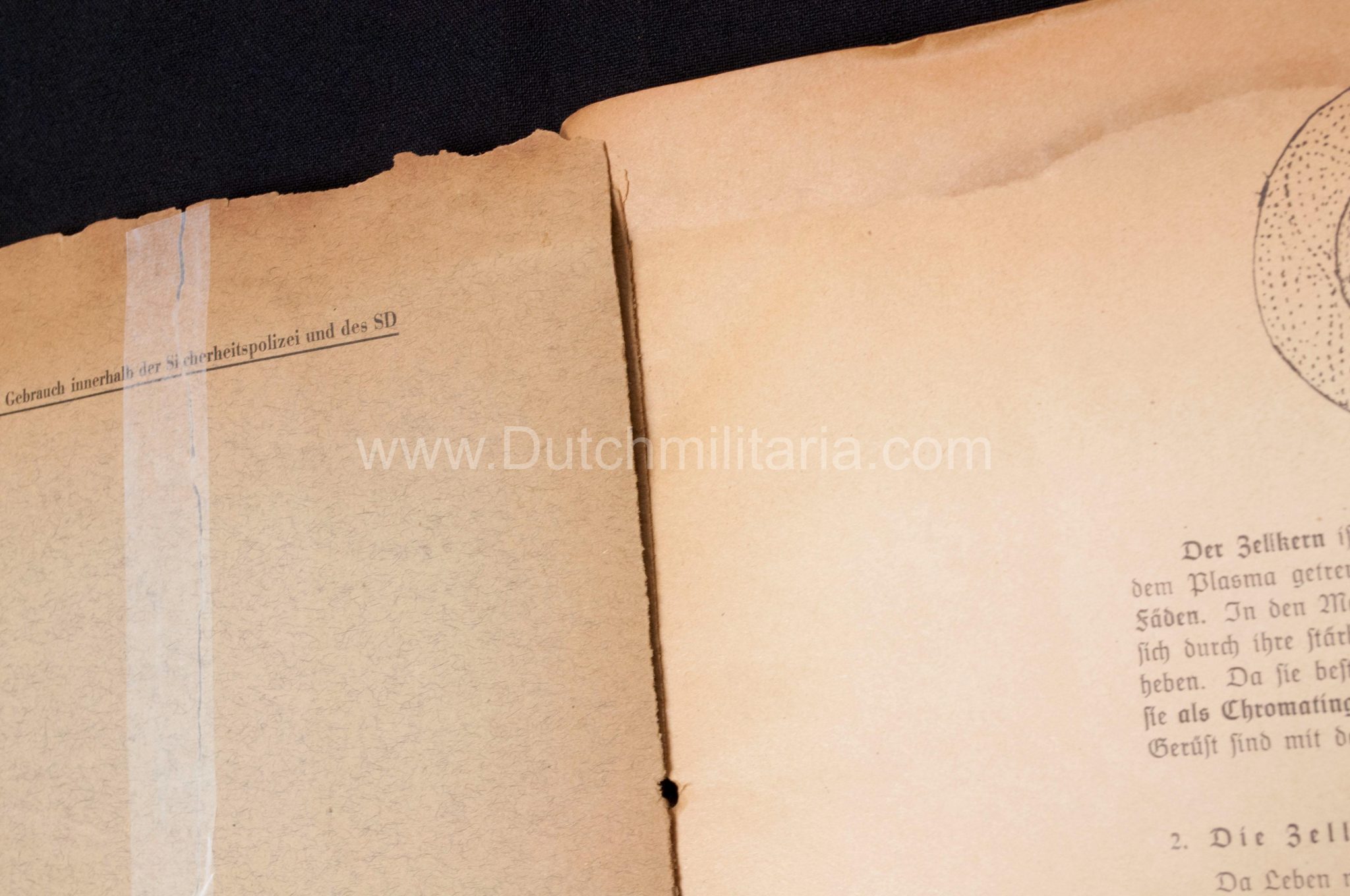 (Book) SS - Der Chef der Sicherheitspolizei und des SD - Der Rassegedanke und seine gesetzliche Gestaltung (1940) - EXTREMELY RARE!!! - Image 34