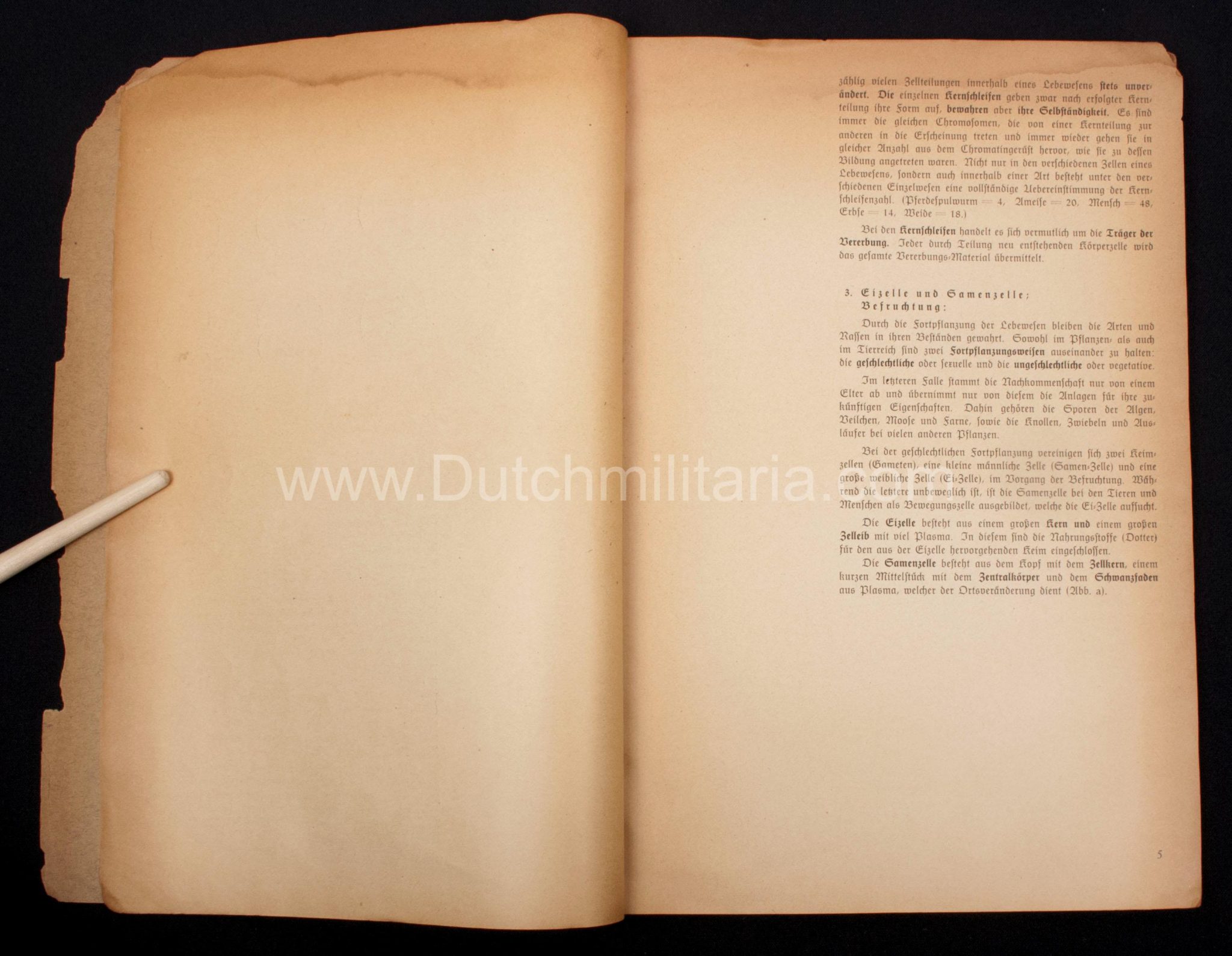 (Book) SS - Der Chef der Sicherheitspolizei und des SD - Der Rassegedanke und seine gesetzliche Gestaltung (1940) - EXTREMELY RARE!!! - Image 38