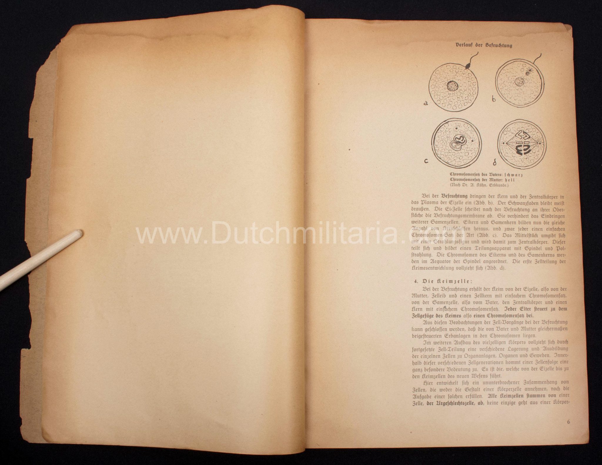 (Book) SS - Der Chef der Sicherheitspolizei und des SD - Der Rassegedanke und seine gesetzliche Gestaltung (1940) - EXTREMELY RARE!!! - Image 42