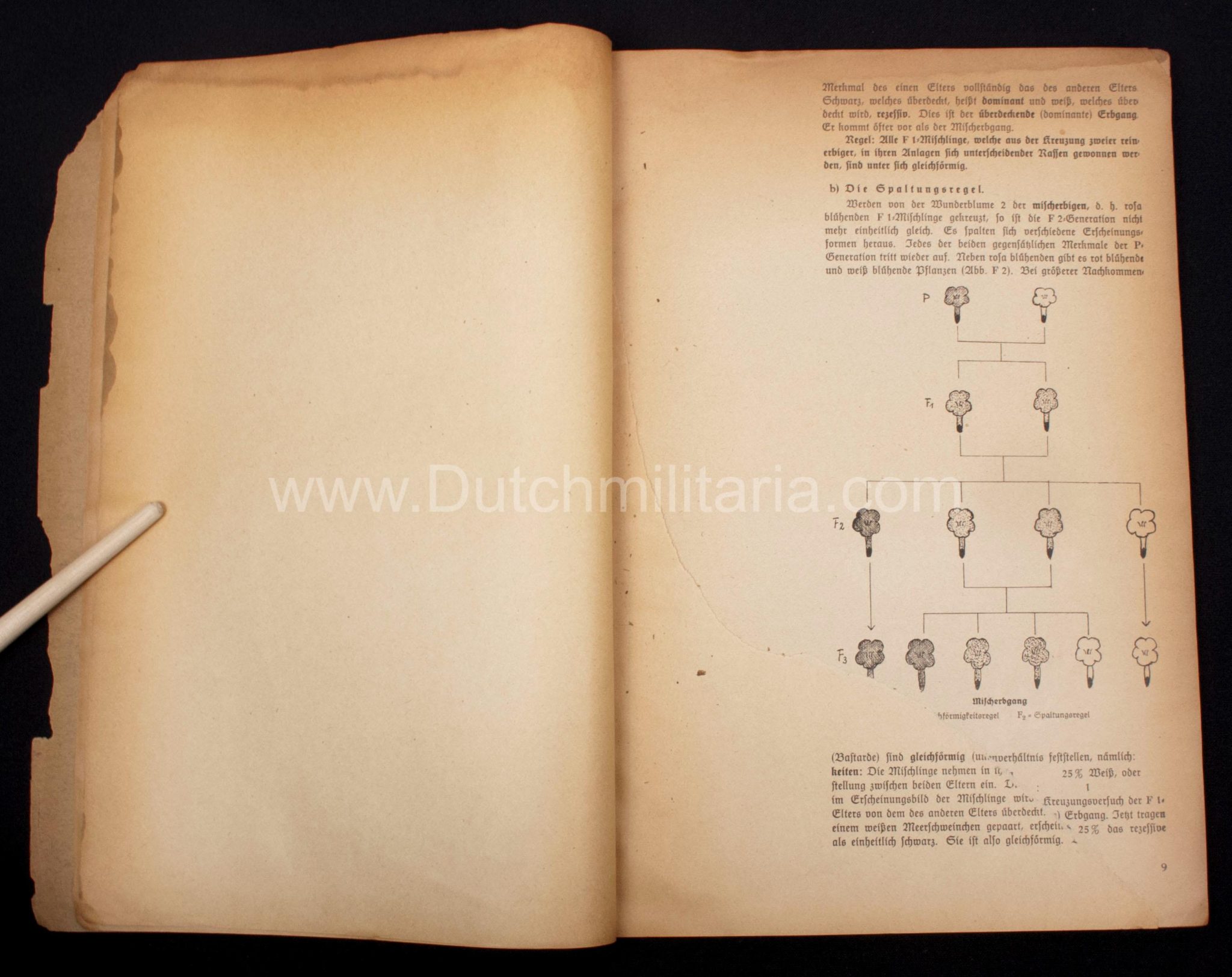 (Book) SS - Der Chef der Sicherheitspolizei und des SD - Der Rassegedanke und seine gesetzliche Gestaltung (1940) - EXTREMELY RARE!!! - Image 43