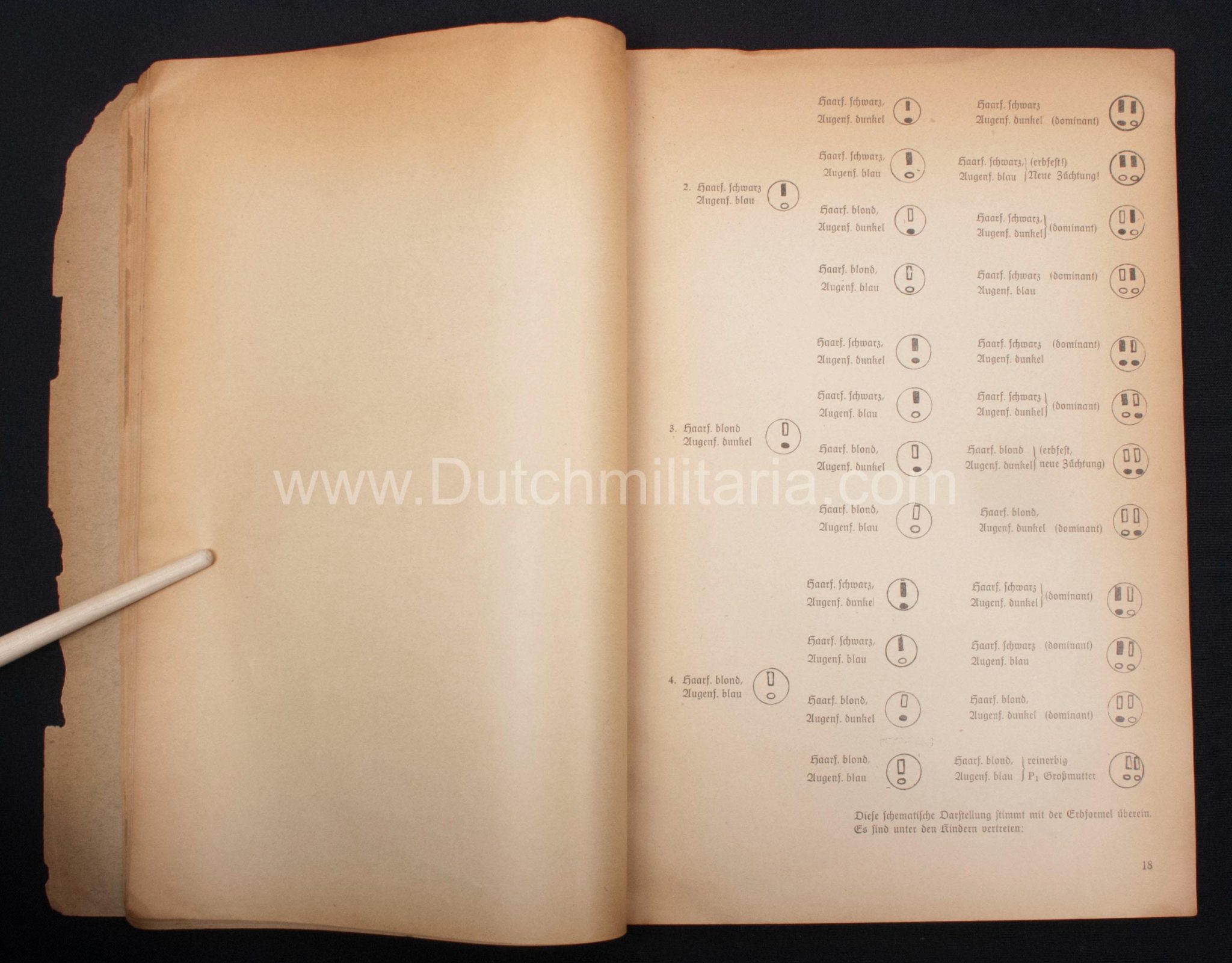 (Book) SS - Der Chef der Sicherheitspolizei und des SD - Der Rassegedanke und seine gesetzliche Gestaltung (1940) - EXTREMELY RARE!!! - Image 44