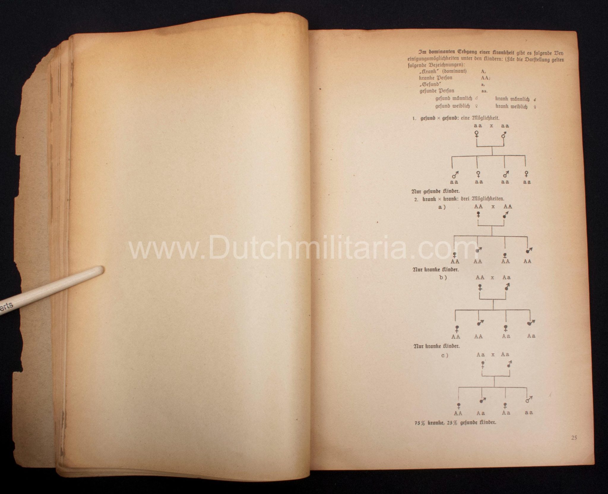 (Book) SS - Der Chef der Sicherheitspolizei und des SD - Der Rassegedanke und seine gesetzliche Gestaltung (1940) - EXTREMELY RARE!!! - Image 45