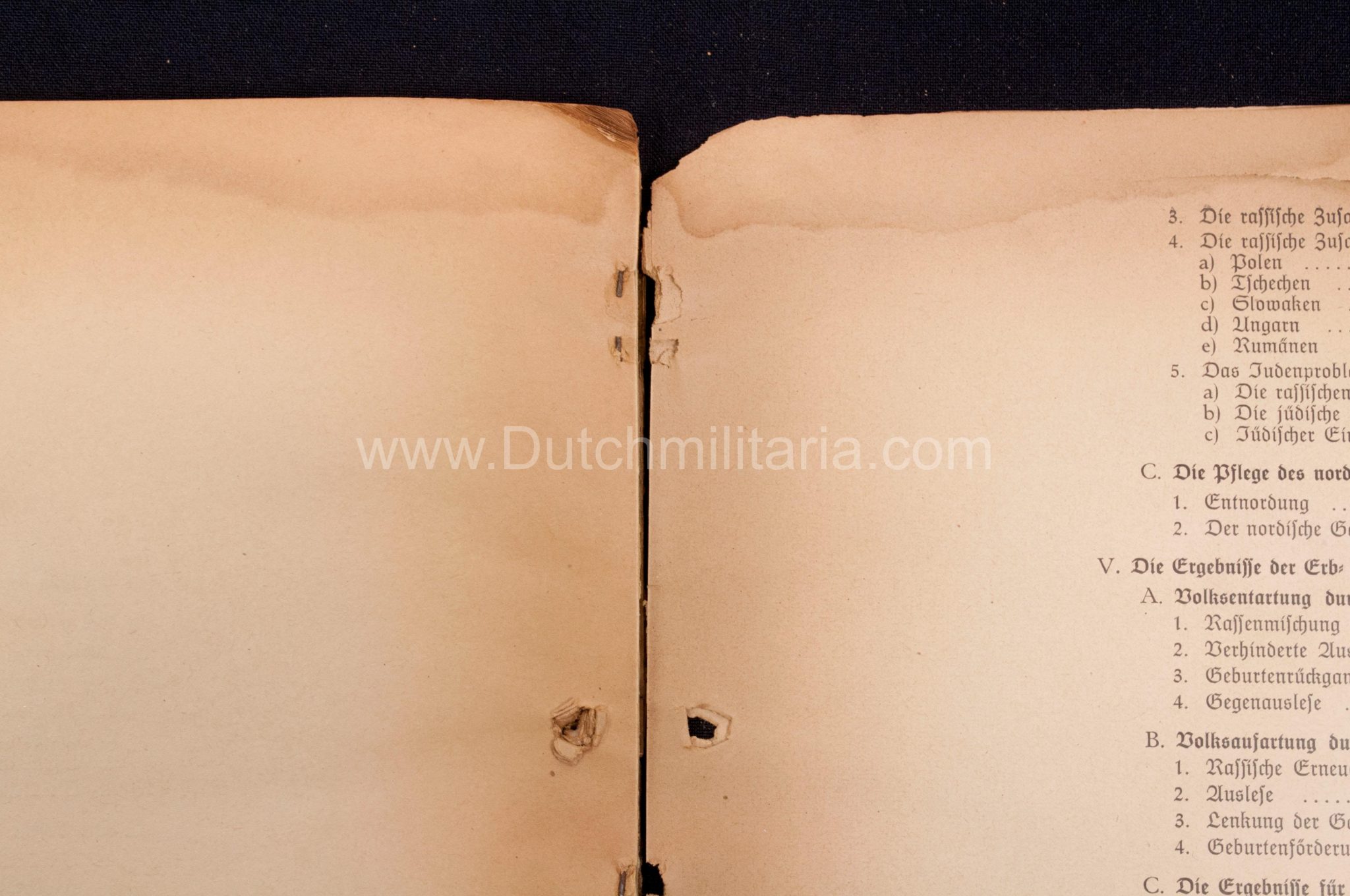 (Book) SS - Der Chef der Sicherheitspolizei und des SD - Der Rassegedanke und seine gesetzliche Gestaltung (1940) - EXTREMELY RARE!!! - Image 50