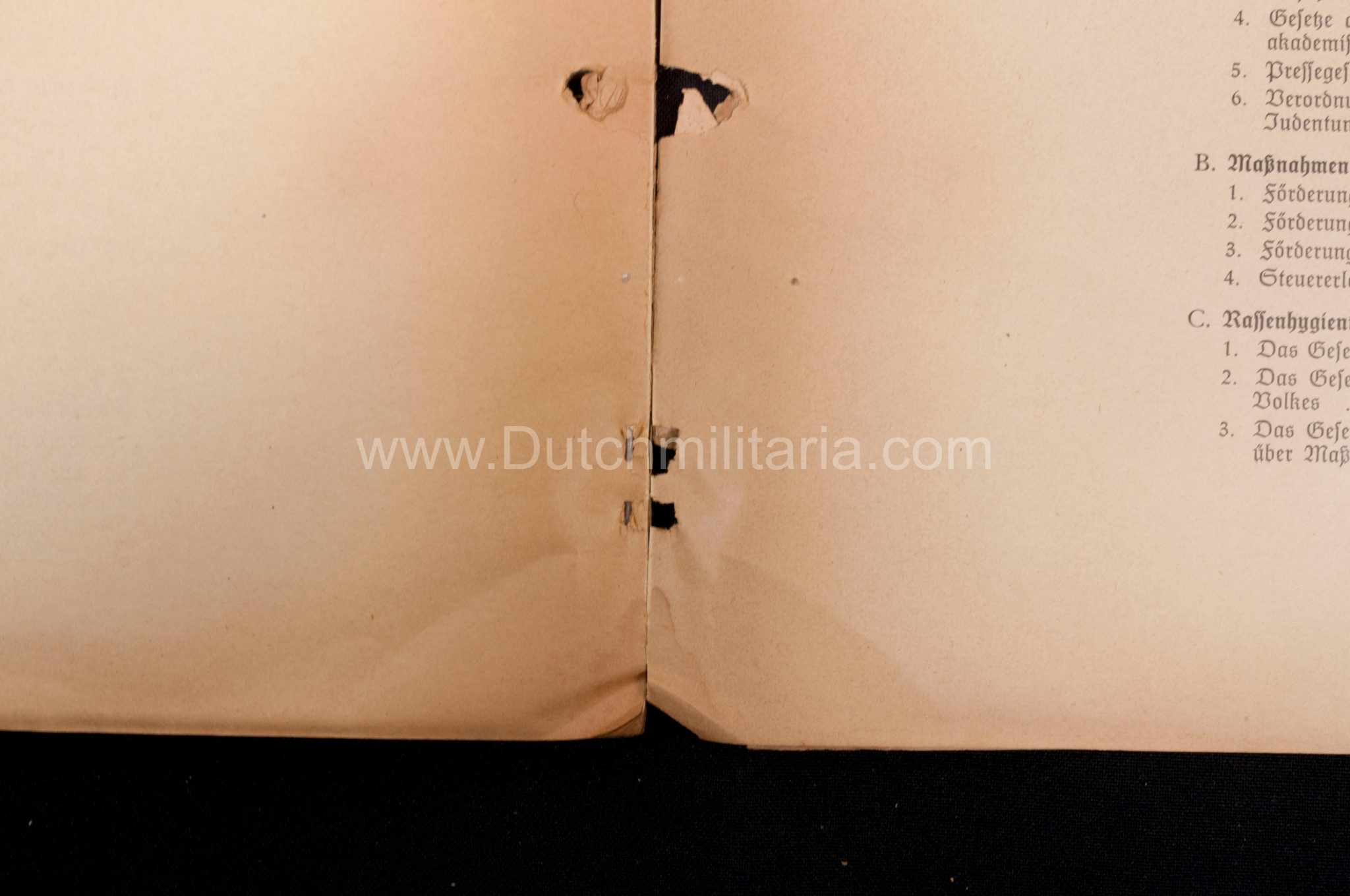 (Book) SS - Der Chef der Sicherheitspolizei und des SD - Der Rassegedanke und seine gesetzliche Gestaltung (1940) - EXTREMELY RARE!!! - Image 52