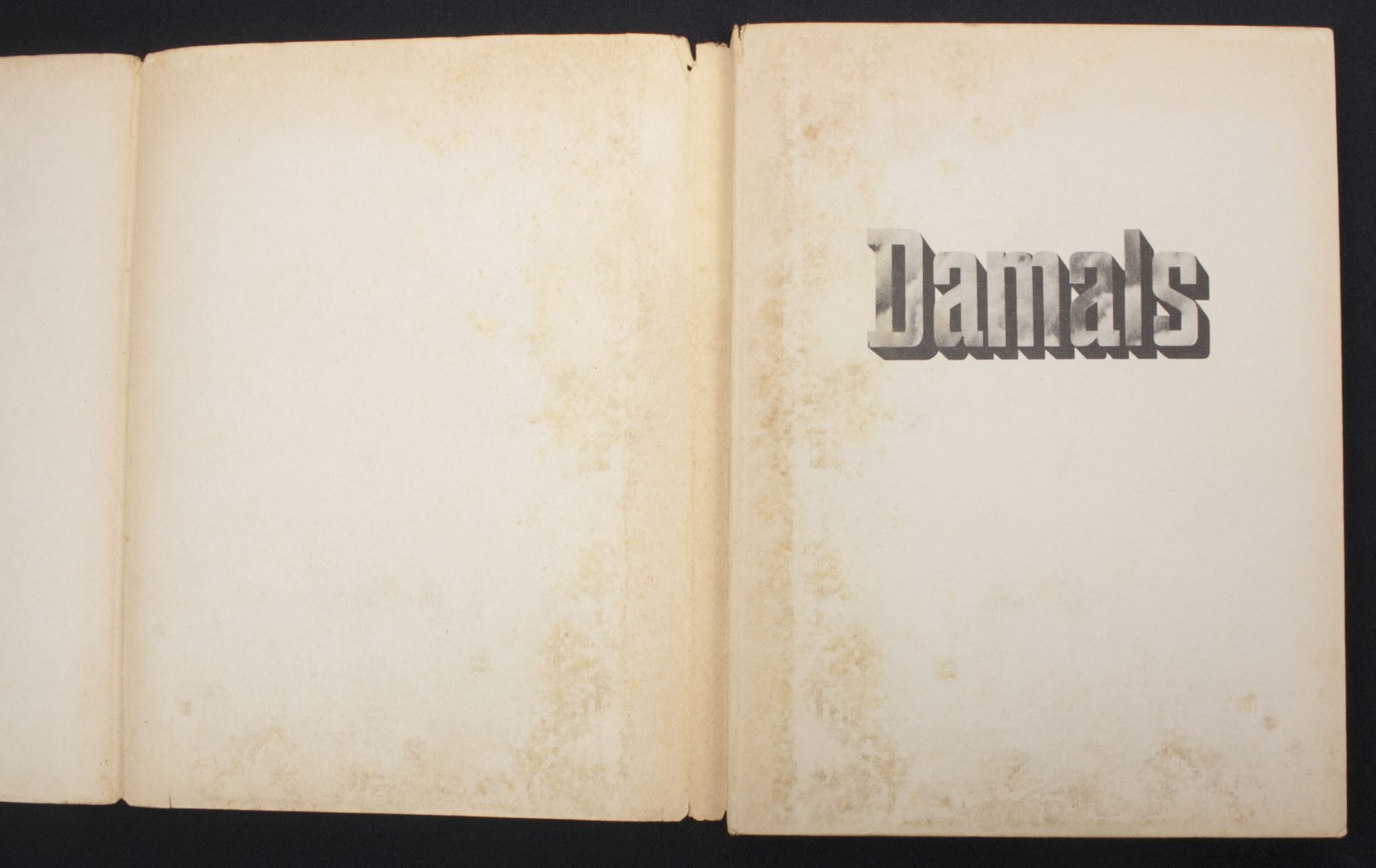 (Book) SS-Totenkopf-Division - Damals (1940)