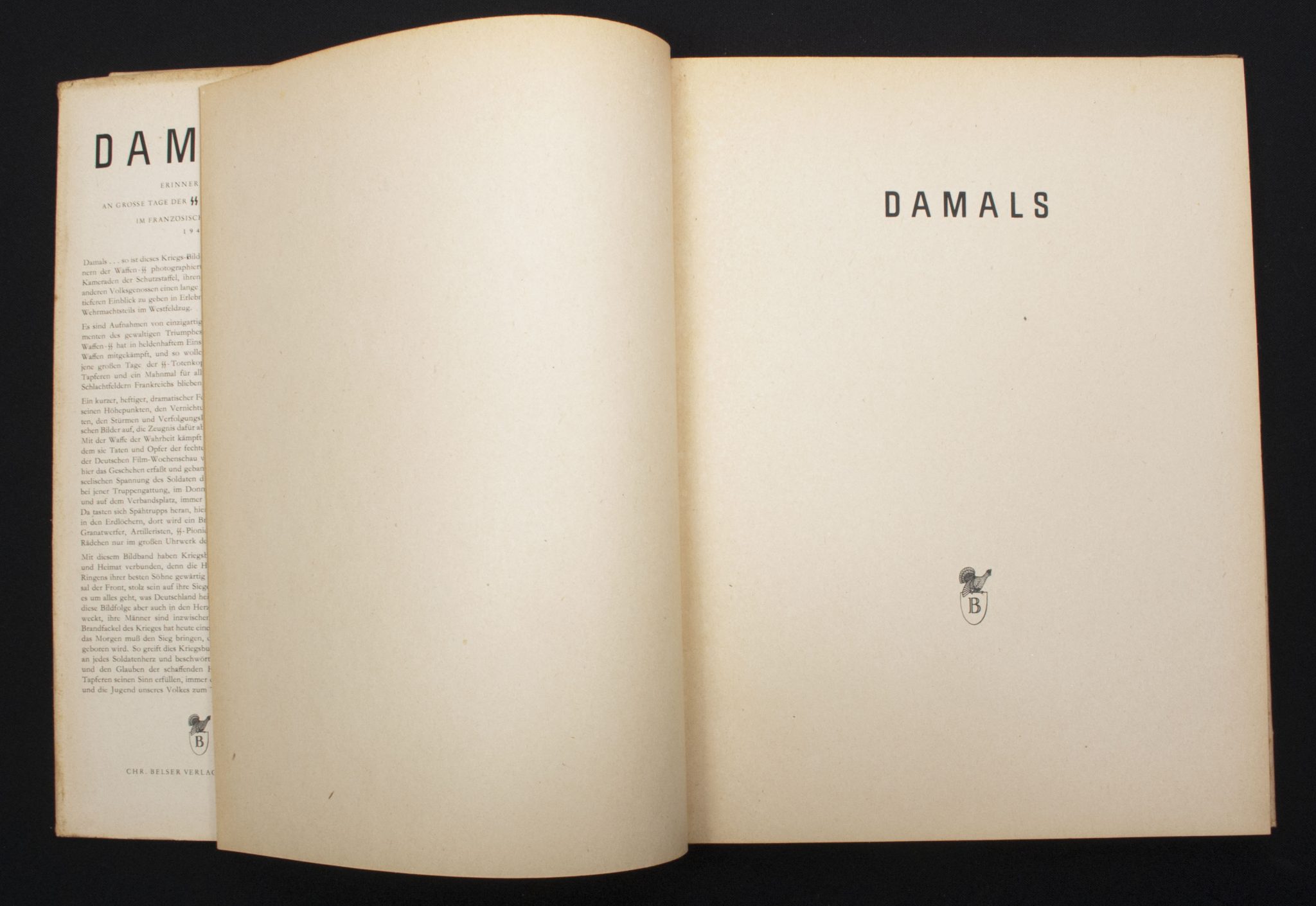 (Book) SS-Totenkopf-Division - Damals (1940)