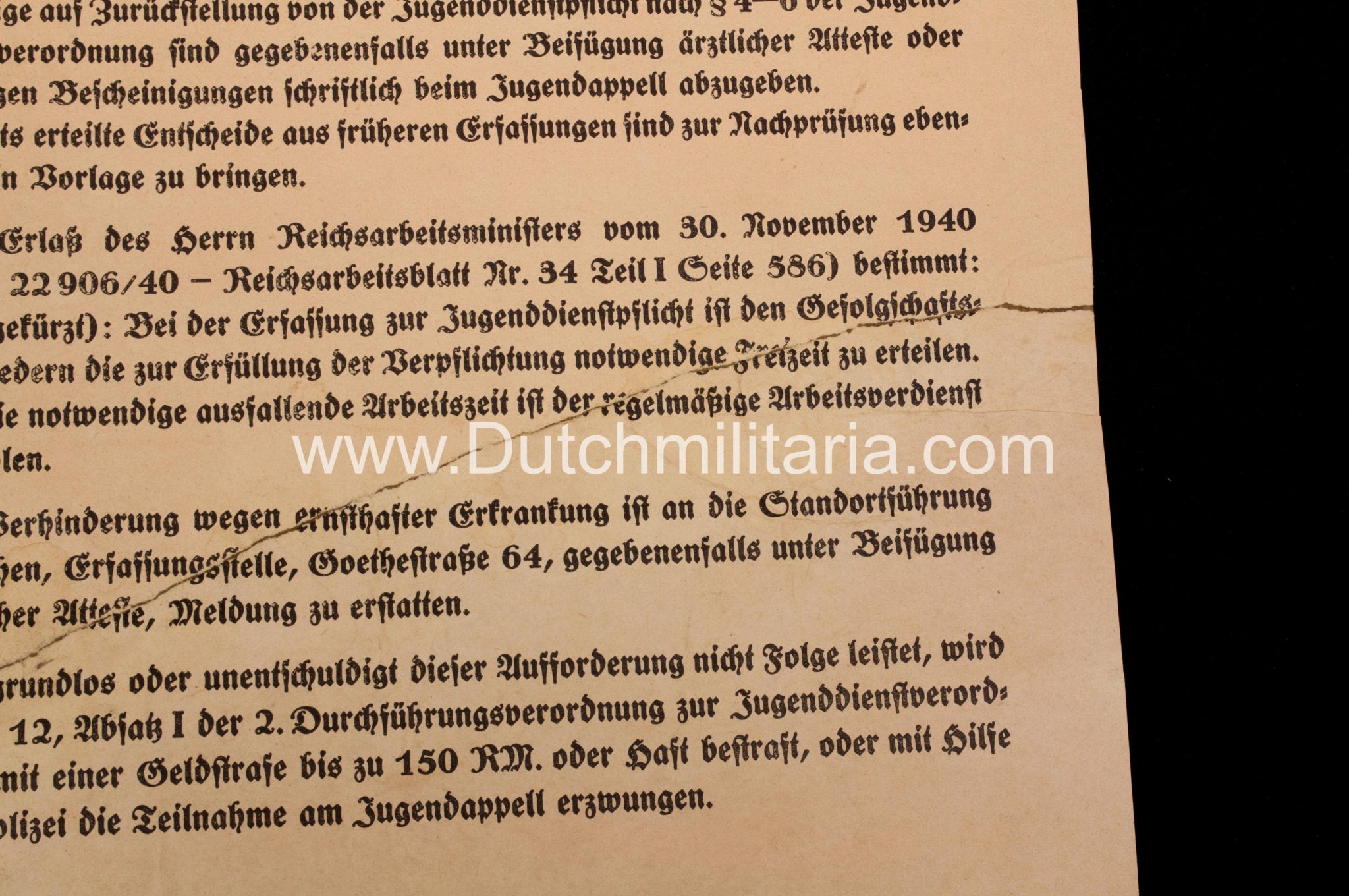(Poster) Hitlerjugend (HJ) Jugend-Appell der Hitlerjugend 1945 - RARE - Image 13