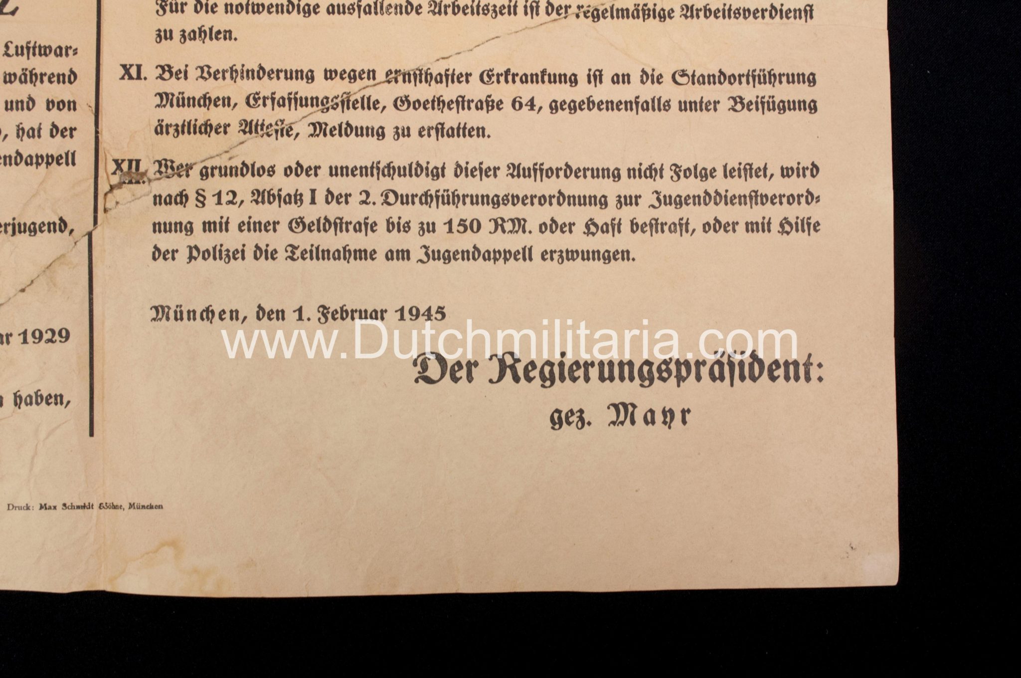 (Poster) Hitlerjugend (HJ) Jugend-Appell der Hitlerjugend 1945 - RARE - Image 15