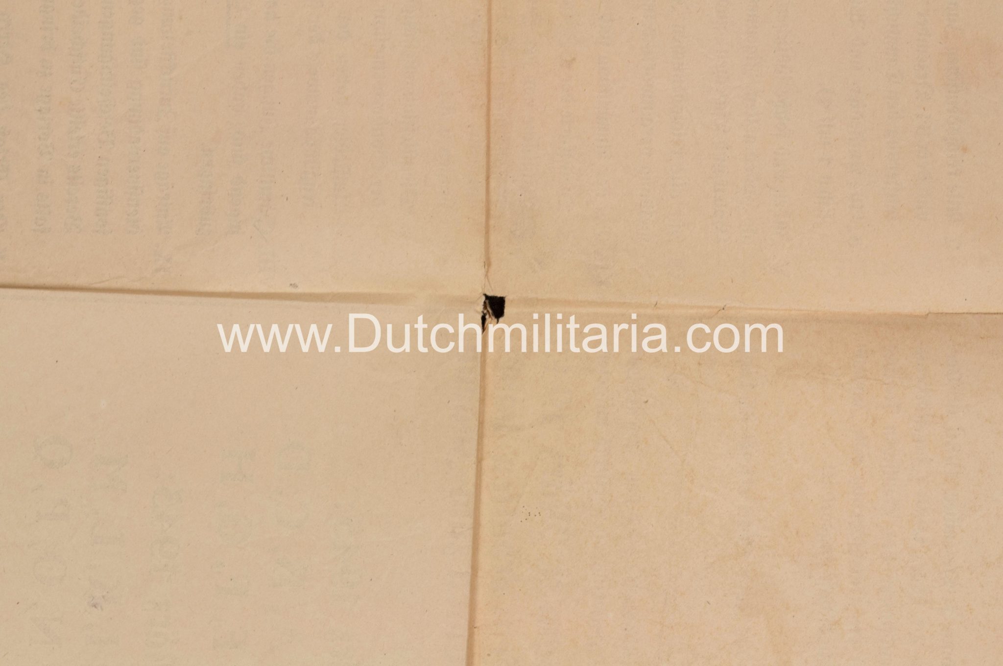 (Poster) Hitlerjugend (HJ) Jugend-Appell der Hitlerjugend 1945 - RARE - Image 22