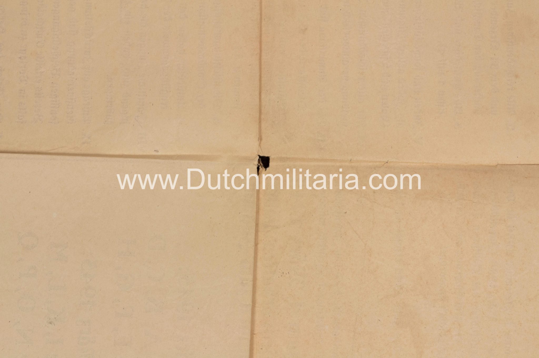 (Poster) Hitlerjugend (HJ) Jugend-Appell der Hitlerjugend 1945 - RARE - Image 23