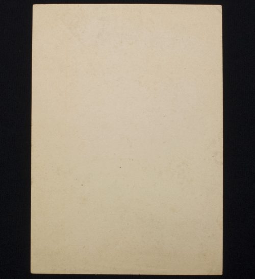 (Denmark) For Danmark! Mod Bolchevismen! SS-Ersatzkommando Dänemark propaganda flyer