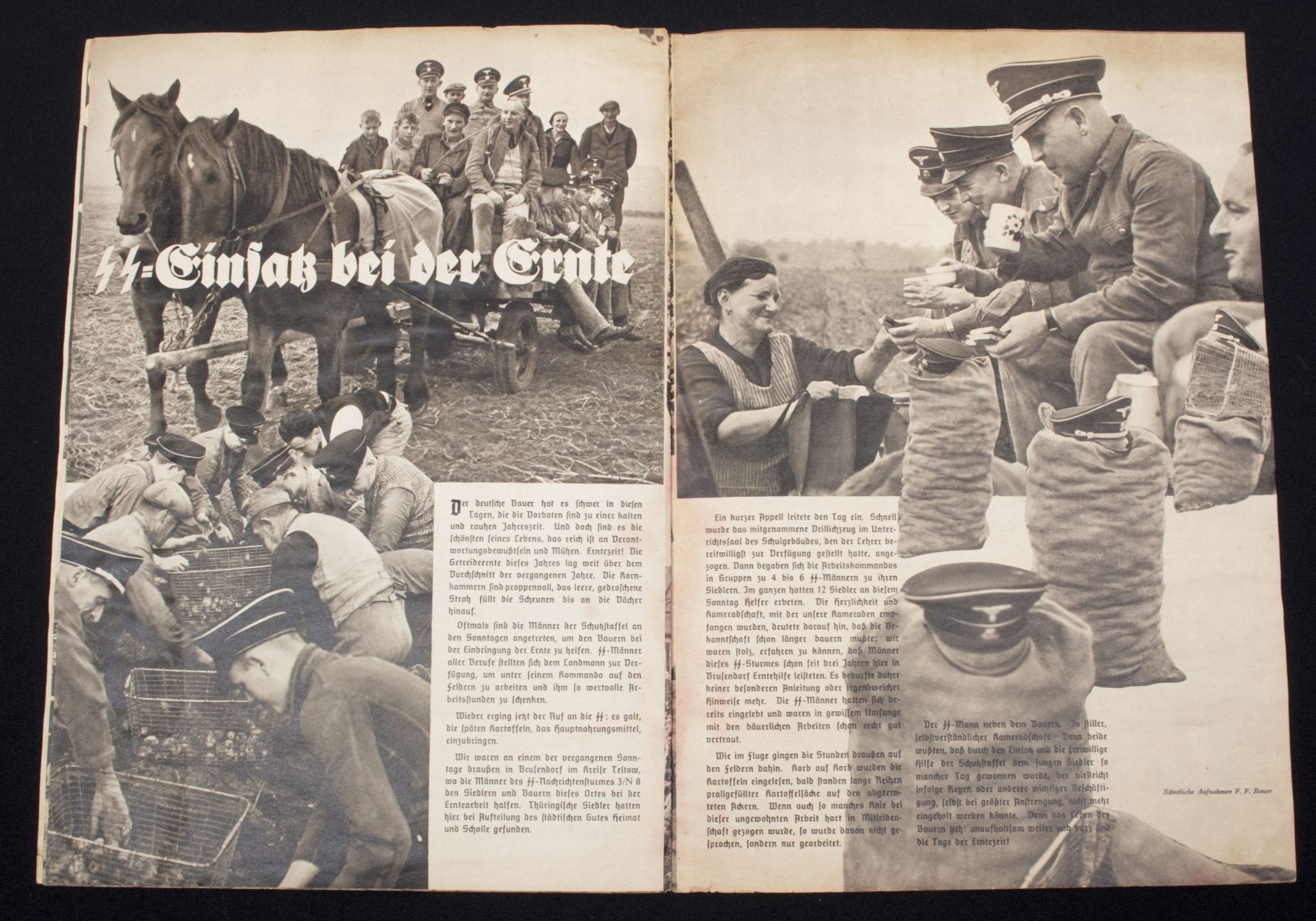 (Magazine) SS-FM Zeitschrift - Reichsführung SS für fördernde Mitglieder - 5. JahrgangFolge 11 (1938)