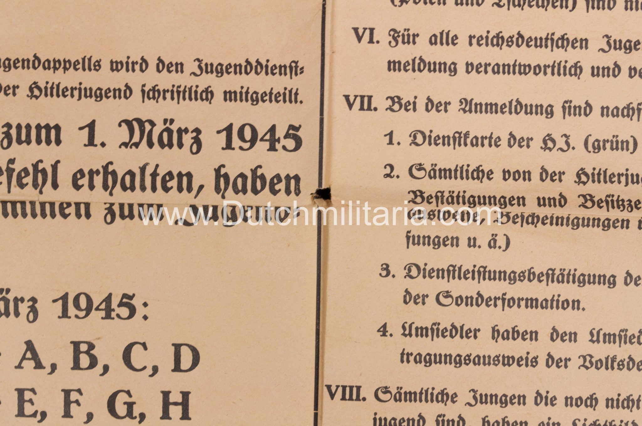(Poster) Hitlerjugend (HJ) Jugend-Appell der Hitlerjugend 1945 - RARE