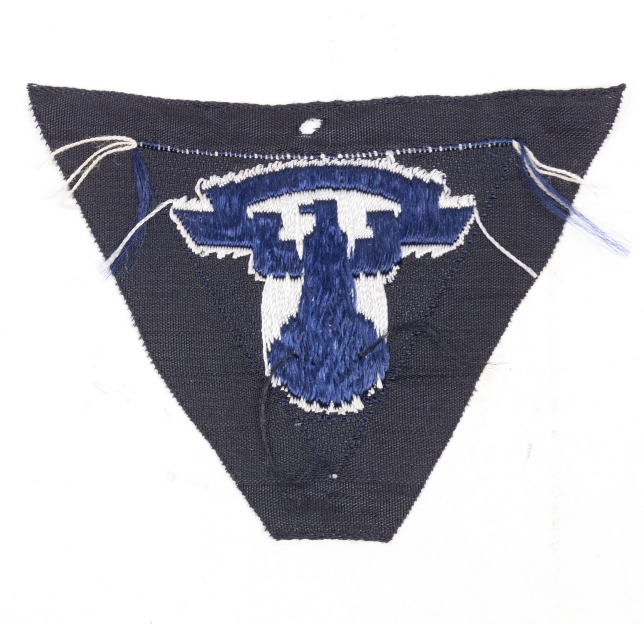 NSKK Motorgruppe Wartheland Cap Insignia (blue) (2) NSKK-Motorgruppe-Wartheland-Cap-Insignia-blue-1.