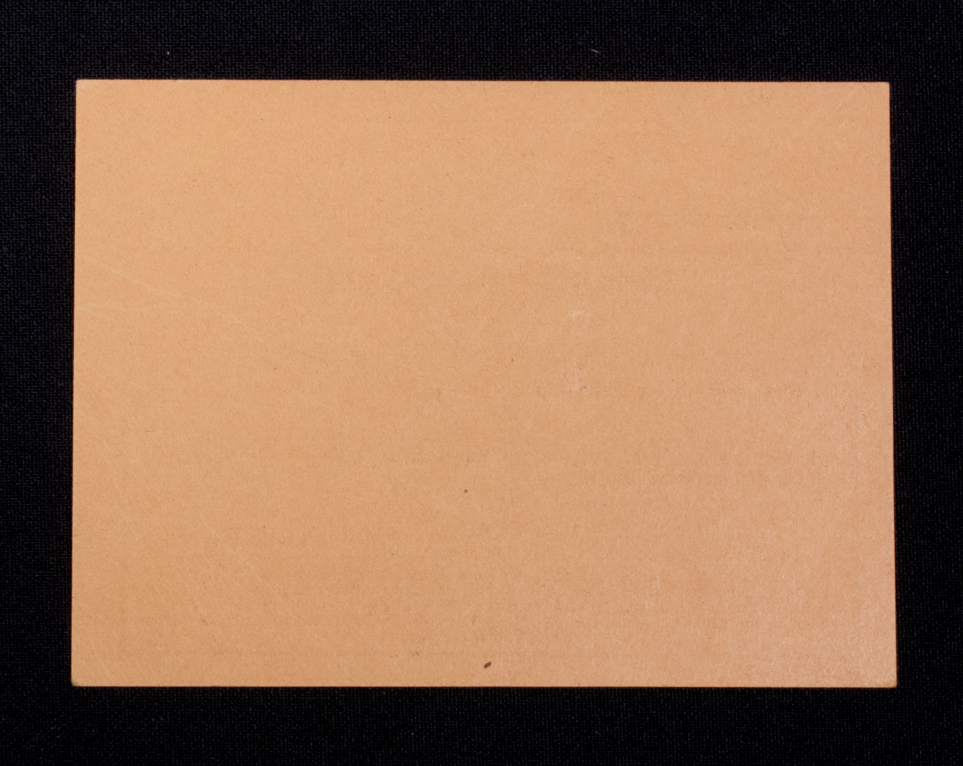 NSDAP Mitgliedsbuch + Deutsche Arbeitsfront Ersatz-Ausweiskarte