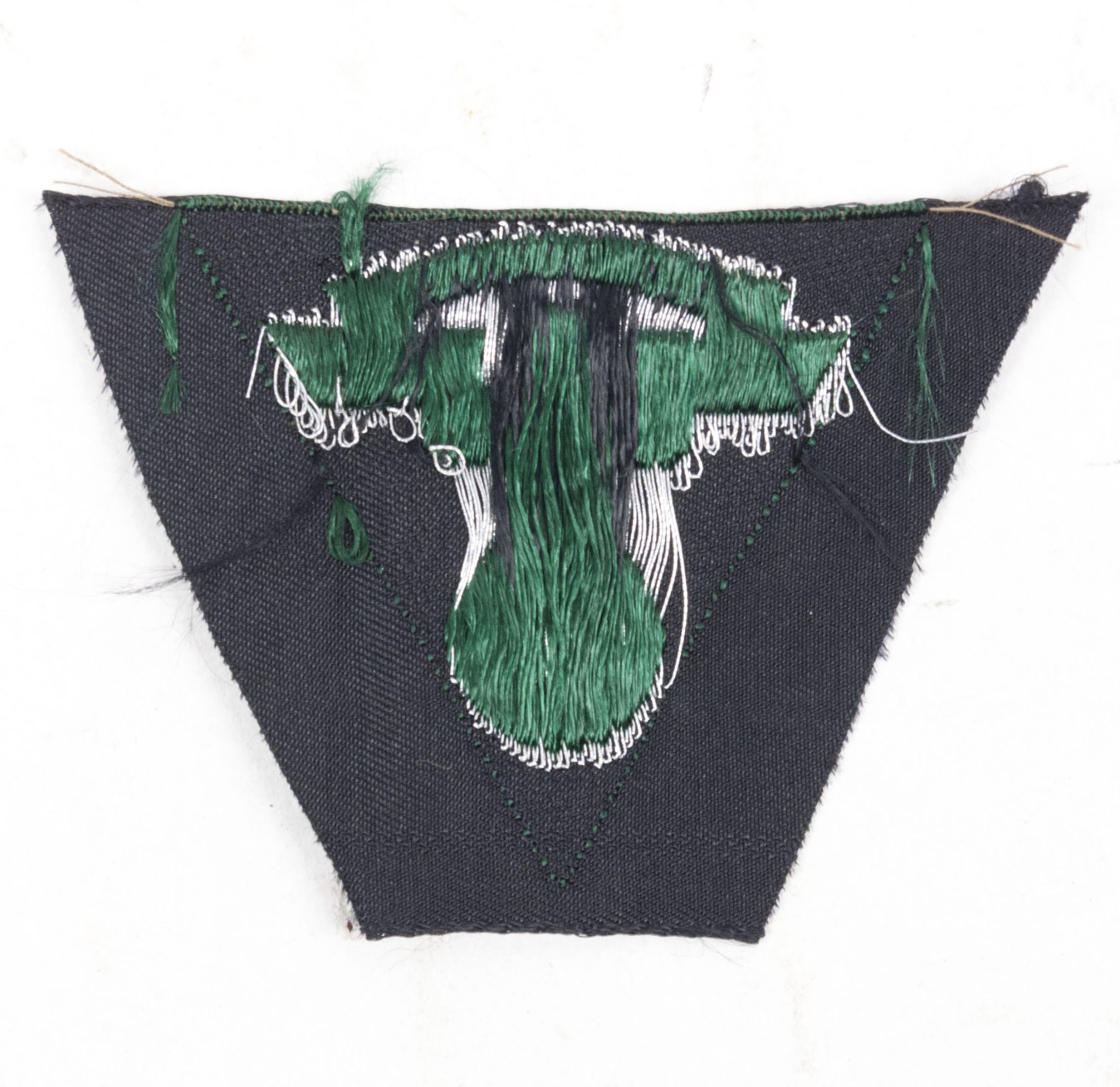 NSKK 1st Pattern Cloth Cap Eagle Motor-Brigade Kurpfalz & Motor-Brigade Nordsee (2) NSKK 1st Pattern Cloth Cap Eagle Motor-Brigade Kurpfalz & Motor-Brigade Nordsee