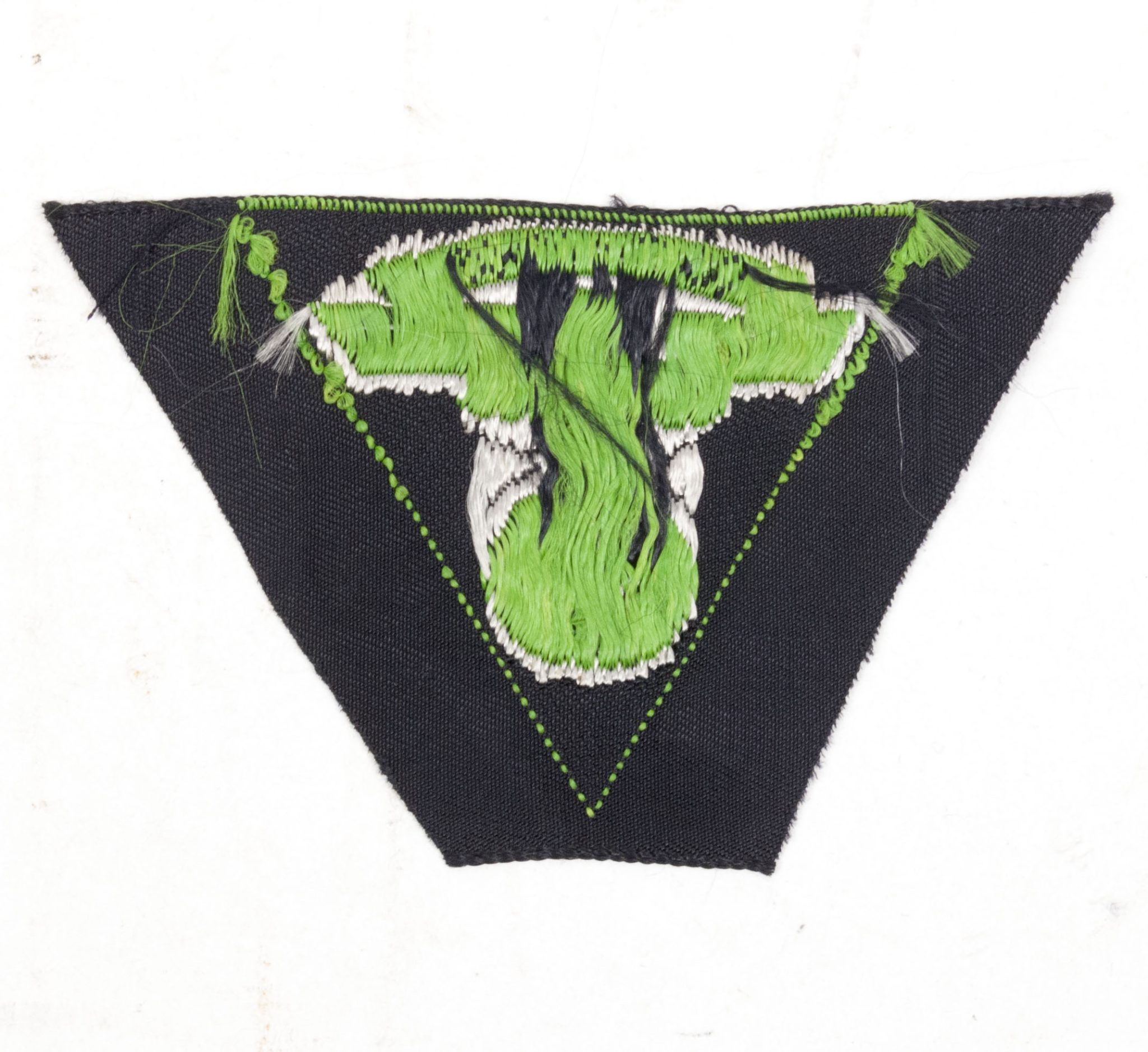 NSKK Motorgruppe PommernThüringen Cap Insignia (green) (2) NSKK Motorgruppe PommernThüringen Cap Insignia (green)