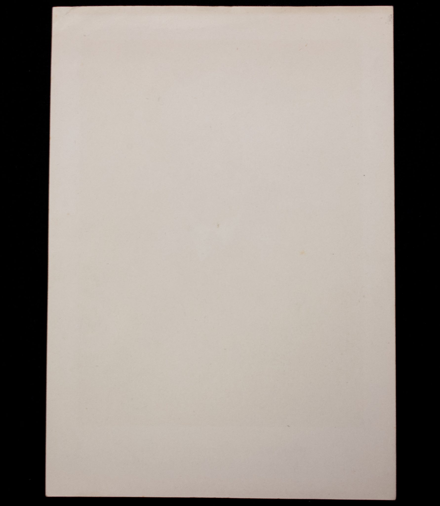 Reichsführer SS Heinrich Himmler Der Reichskommissar für die festigung deutschen Volkstums (print 1941)