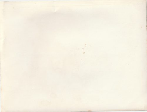 (Pressphoto) Der Führer beging seinen 51. Geburtstag (24x18 cm)