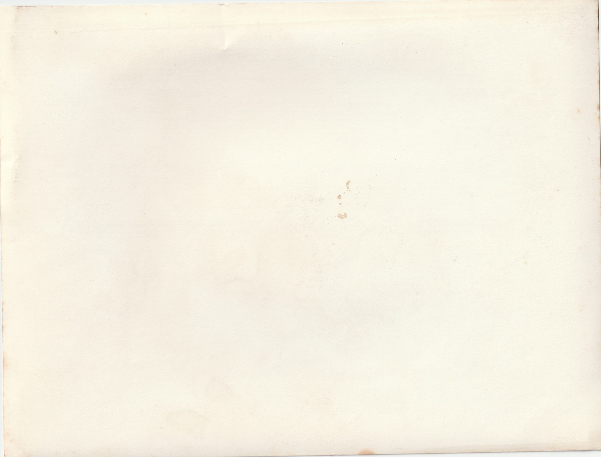 (Pressphoto) Der Führer beging seinen 51. Geburtstag (24×18 cm) (2) (Pressphoto) Der Führer beging seinen 51. Geburtstag (24x18 cm)