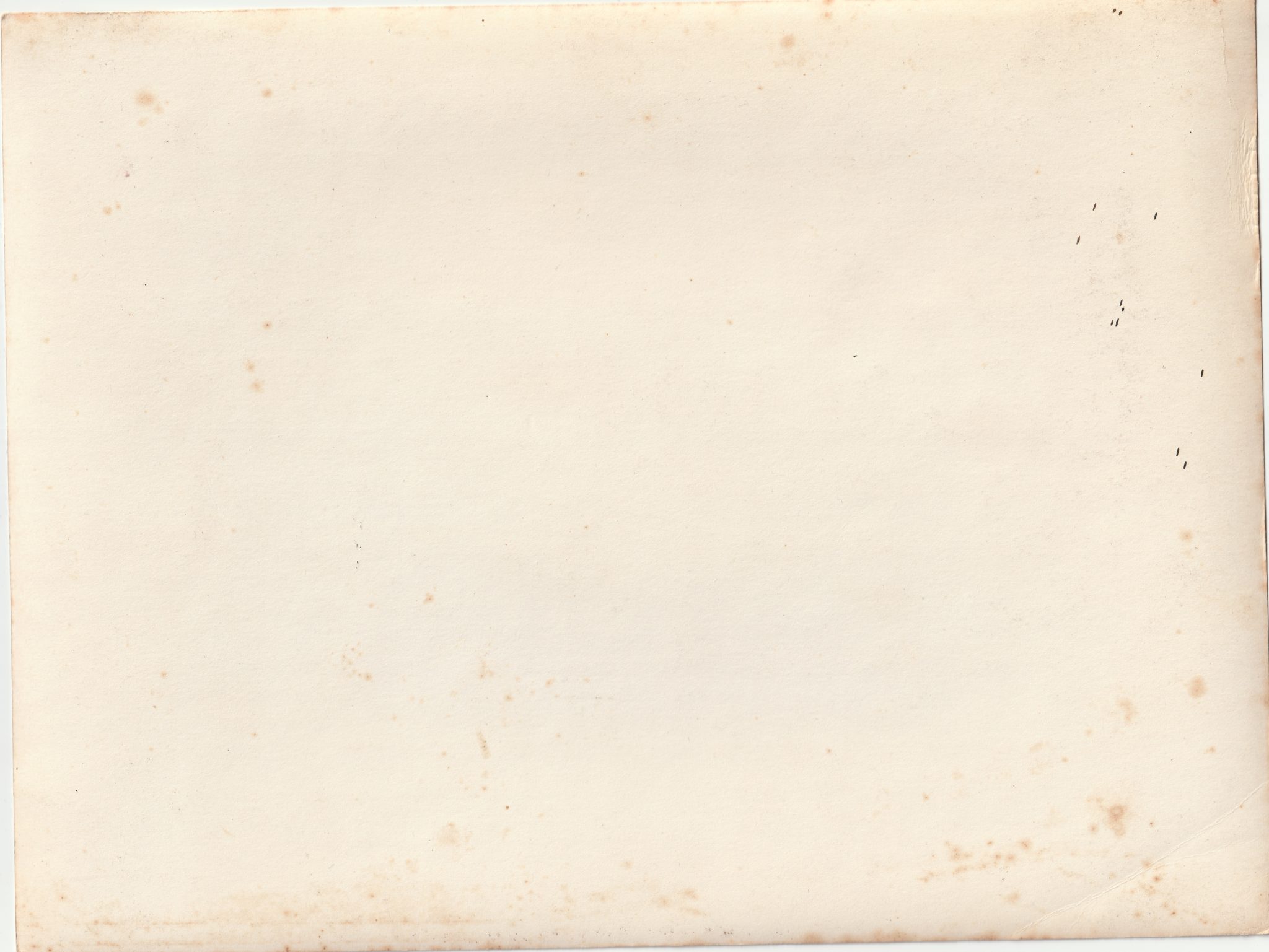 (Pressphoto) Die Ausstellung Das Sowjetparadies eröffnet (24×18 cm) (2) (Pressphoto) Die Ausstellung Das Sowjetparadies eröffnet (24x18 cm)