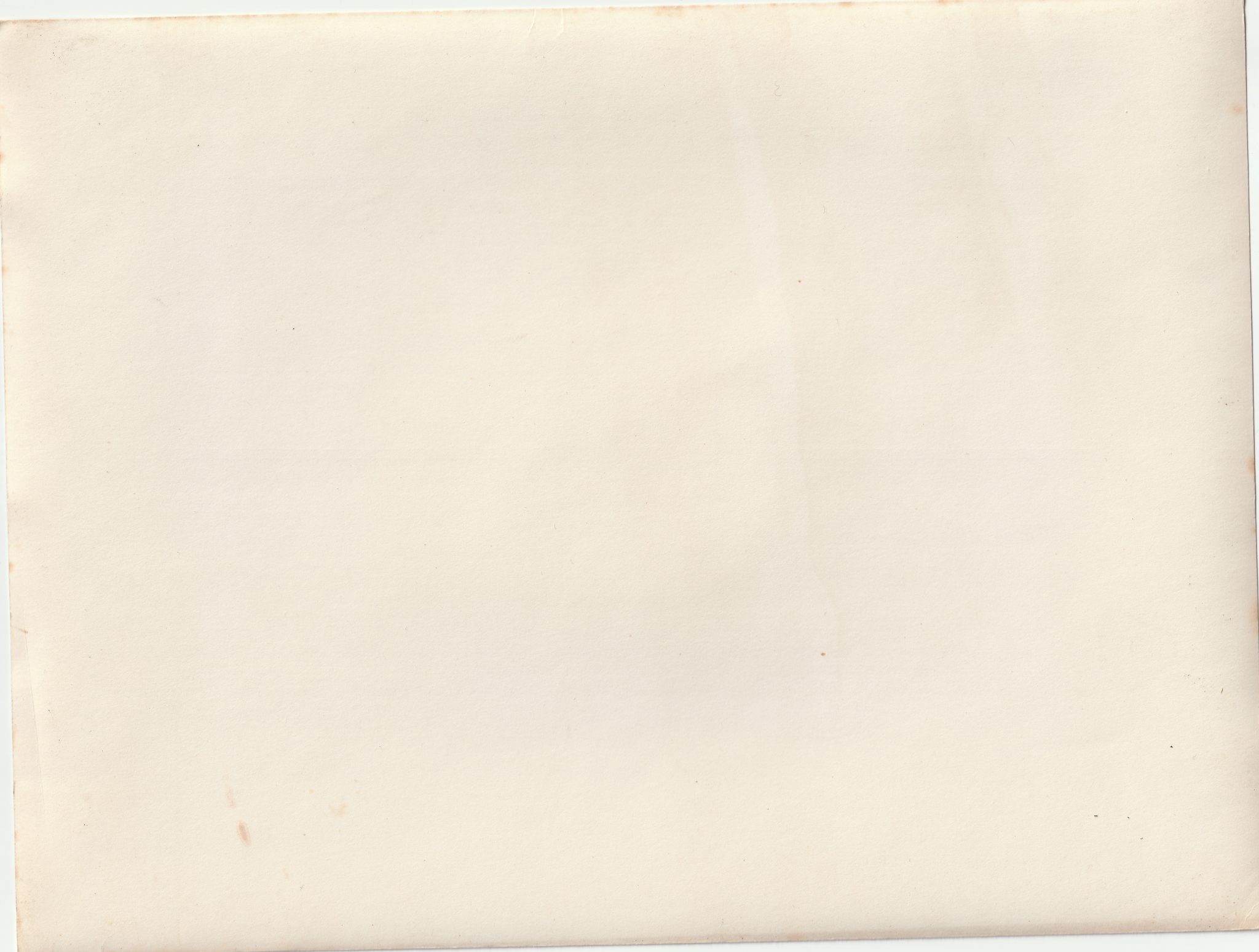 (Pressphoto) Feier des Heldengedenktages in der Reichshauptstadt (24×18 cm) (2) (Pressphoto) Feier des Heldengedenktages in der Reichshauptstadt (24x18 cm)