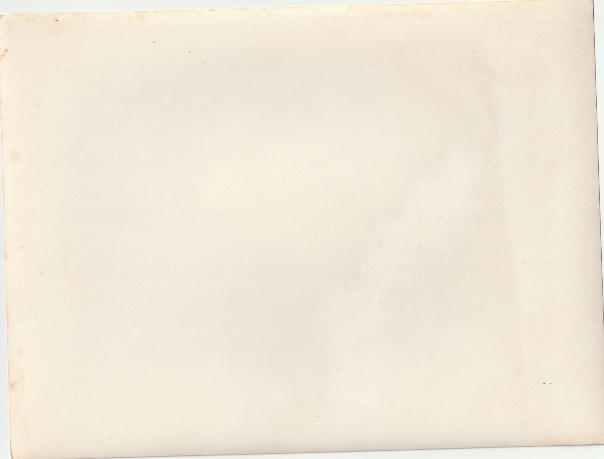 (Pressphoto) Mozart-Huldigung auf dem Stephansplatz in Wien. Reichsleiter Baldur von Schirach legt den Lorbeerkranz des Führers Nieder (24×18 cm) (2) (Pressphoto) Mozart-Huldigung auf dem Stephansplatz in Wien. Reichsleiter Baldur von Schirach legt den Lorbeerkranz des Führers Nieder (24x18 cm)