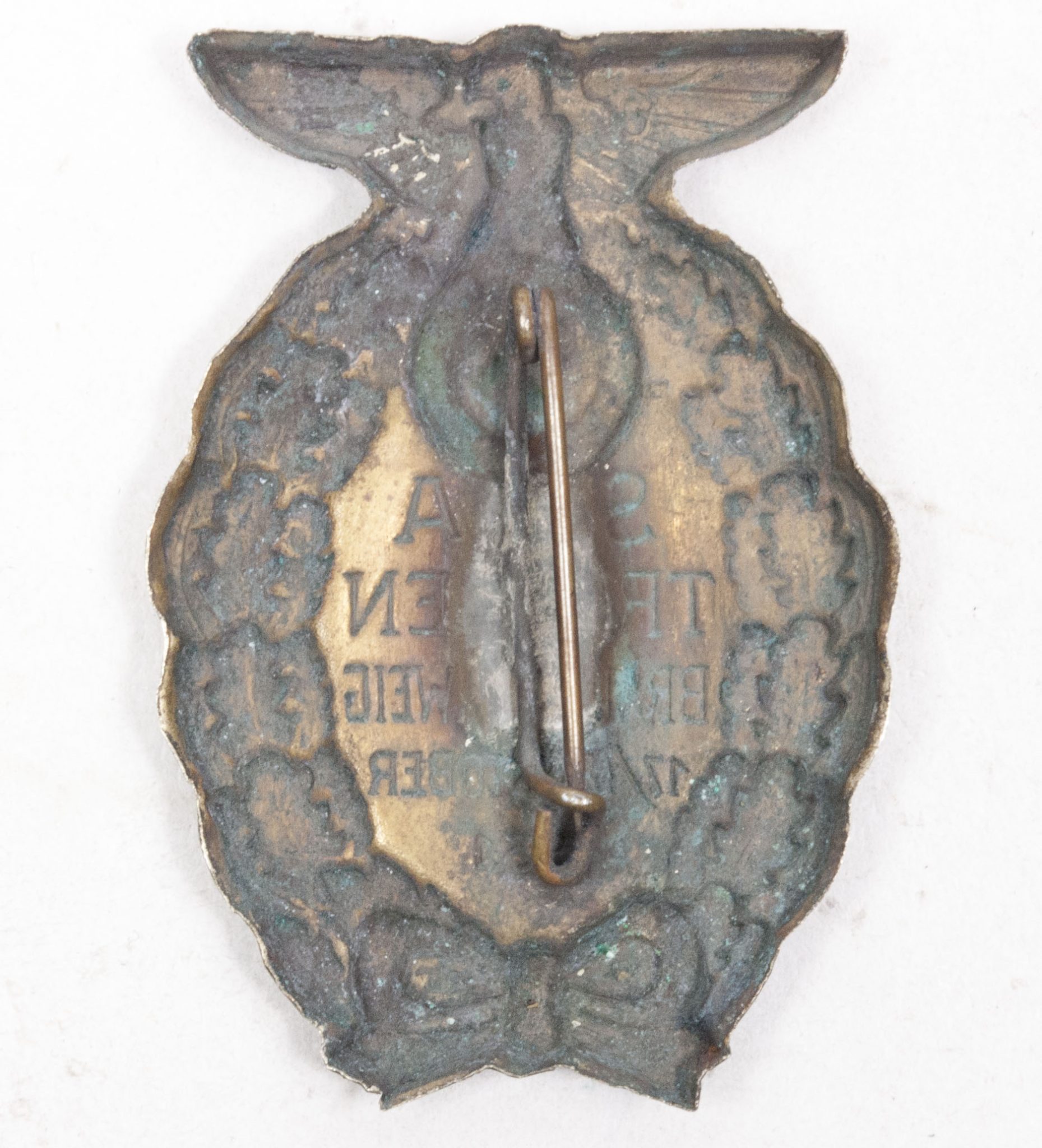 SA Treffen Braunschweig 1718 Oktober 1931 (2) SA Treffen Braunschweig 1718 Oktober 1931