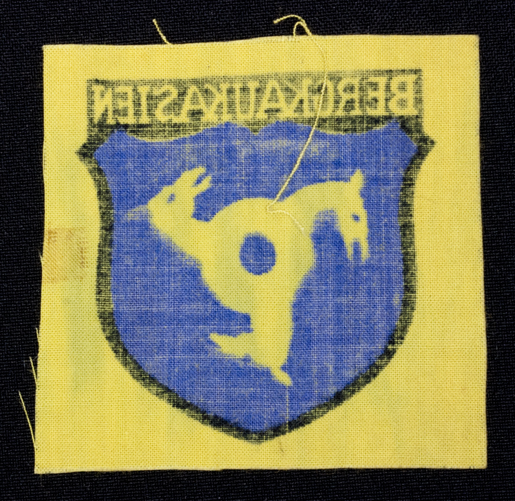 WWII German Foreign Volunteer shield Bergkaukasien (2) WWII German Foreign Volunteer shield Bergkaukasien