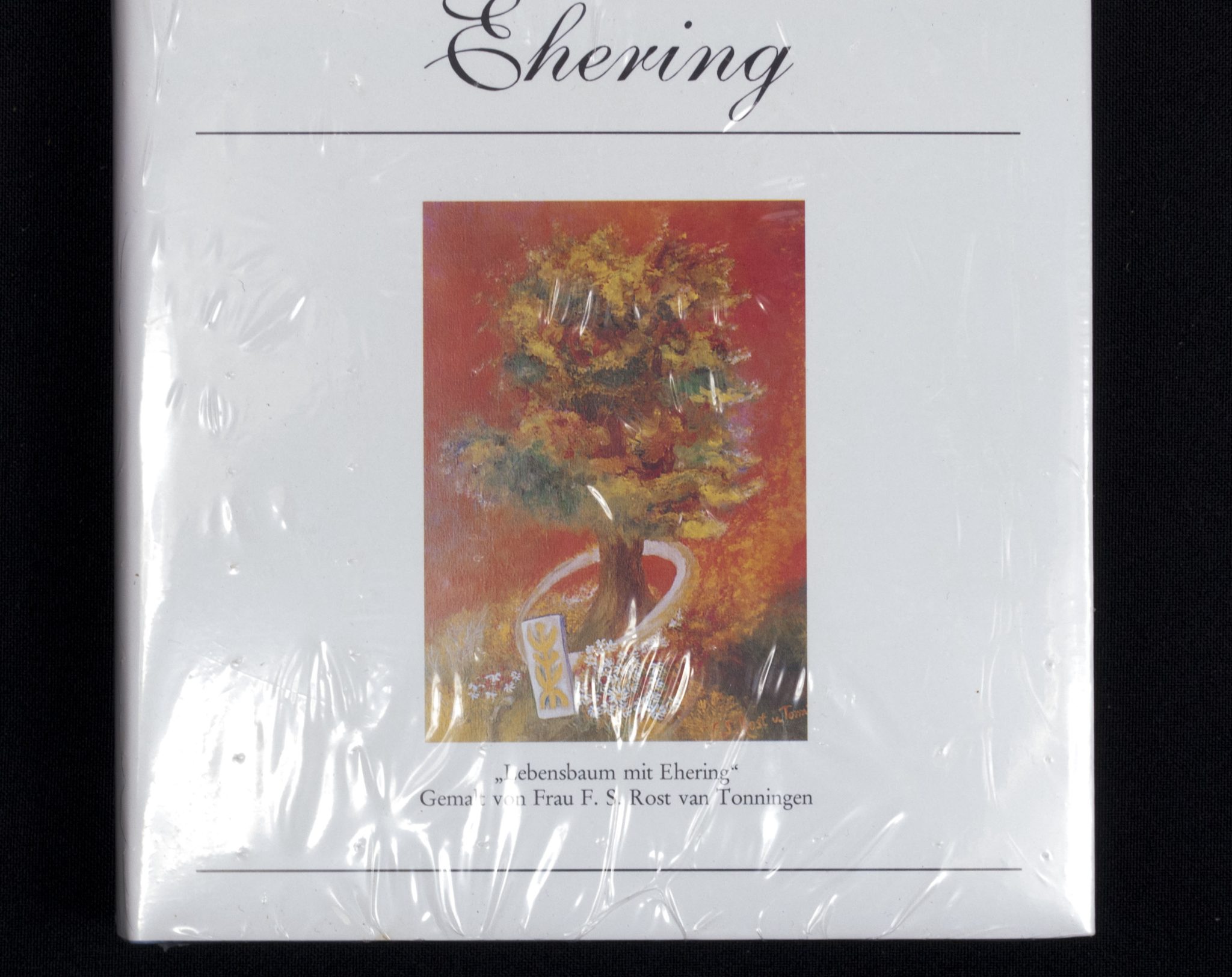 (Book) F.S. Rost van Tonningen-Heubel - Auf der Suche nach meinem Ehering