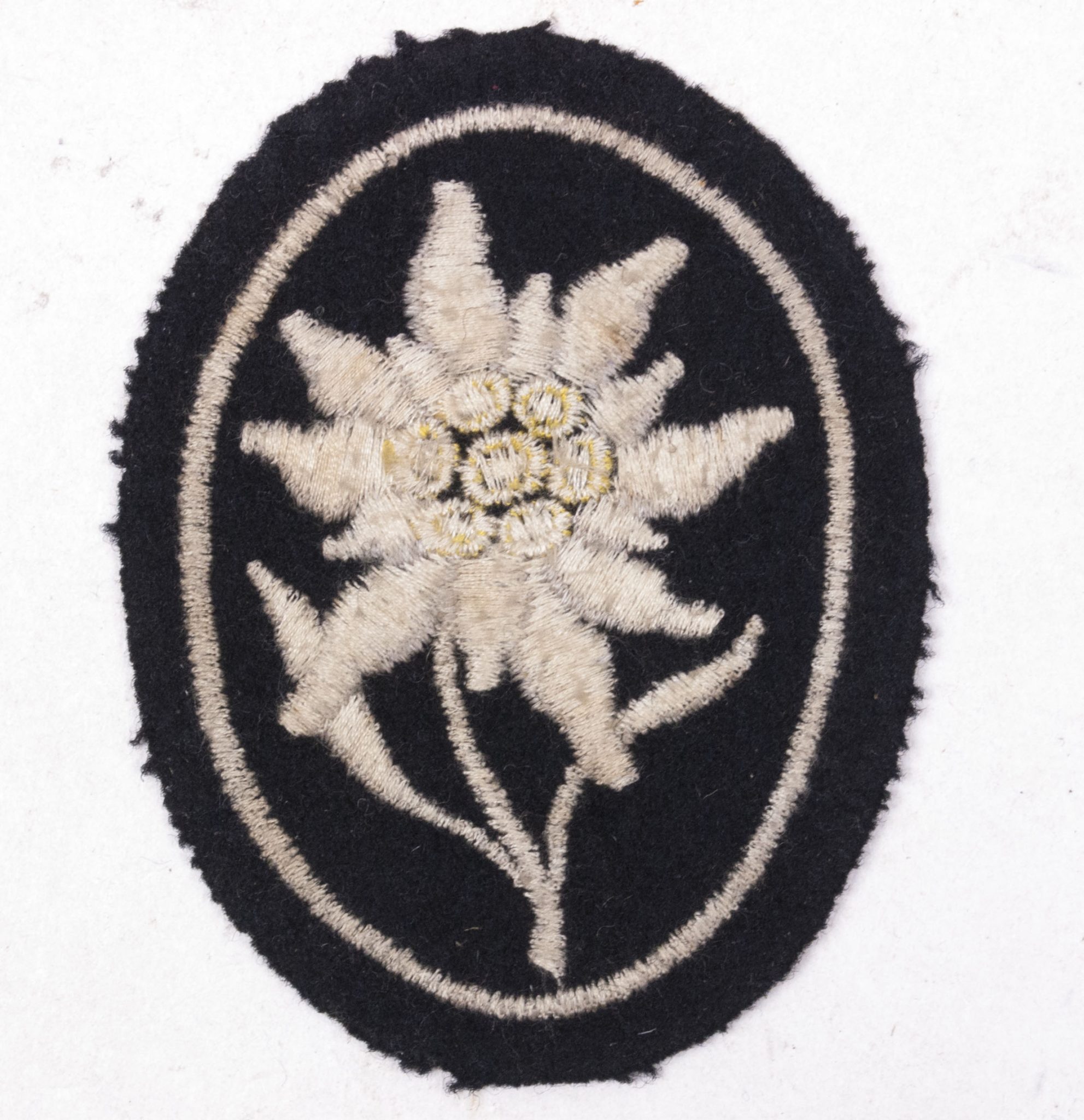 SS-Gebirgsjäger Ausbildung und Ersatz Bataillon 6. grouping + EKM + SS Gebirgsjäger abzeichen - Image 39