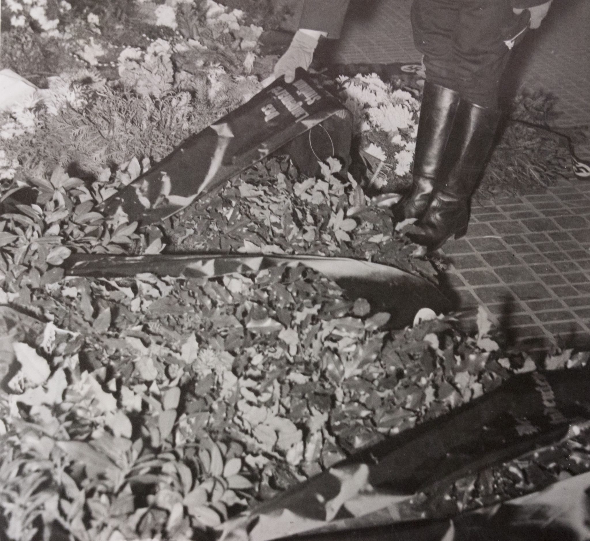 (Pressphoto) Zum Gedenken zum Langemarck (1943) (Pressphoto) Zum Gedenken zum Langemarck (1943)