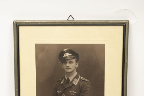 Framed large Luftwaffe (LW) portrait (35,5 x 27,5 cm)