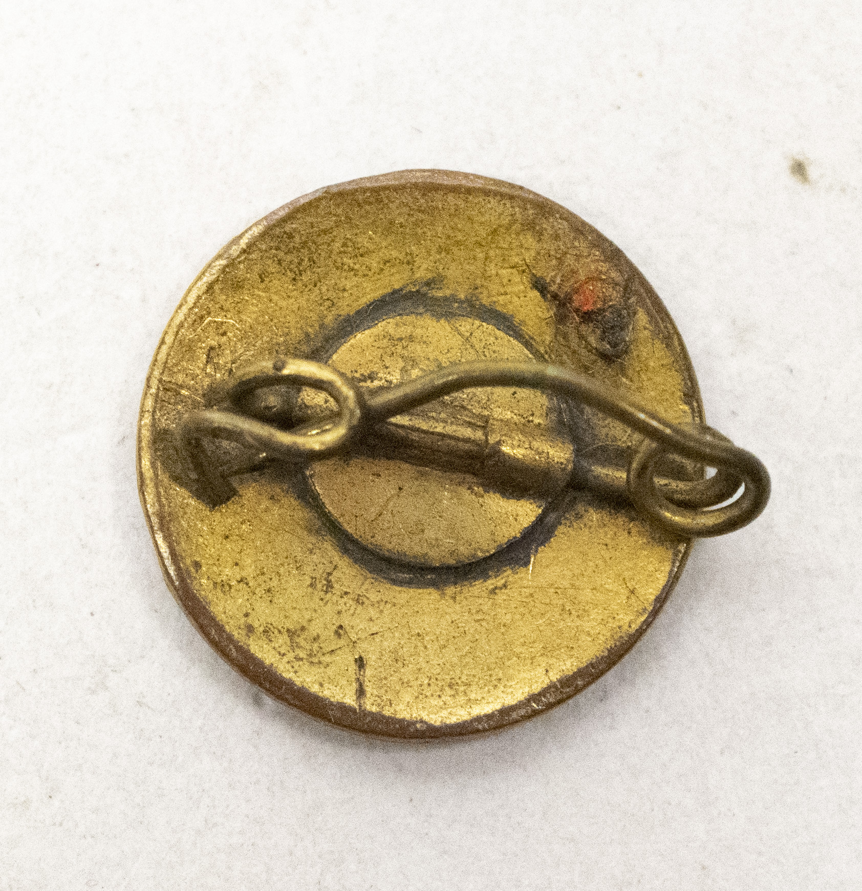 NSNAP van Rappard memberbadge - very rare