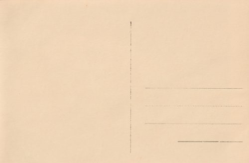 (Postcard) Anton Mussert