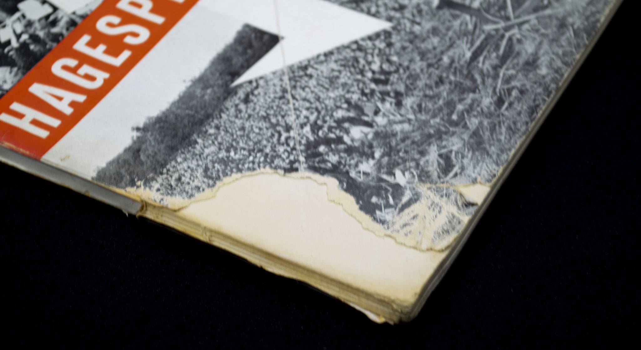 (Brochure) NSB - Hagespraak 1937 - Geillustreerd gedenkboek