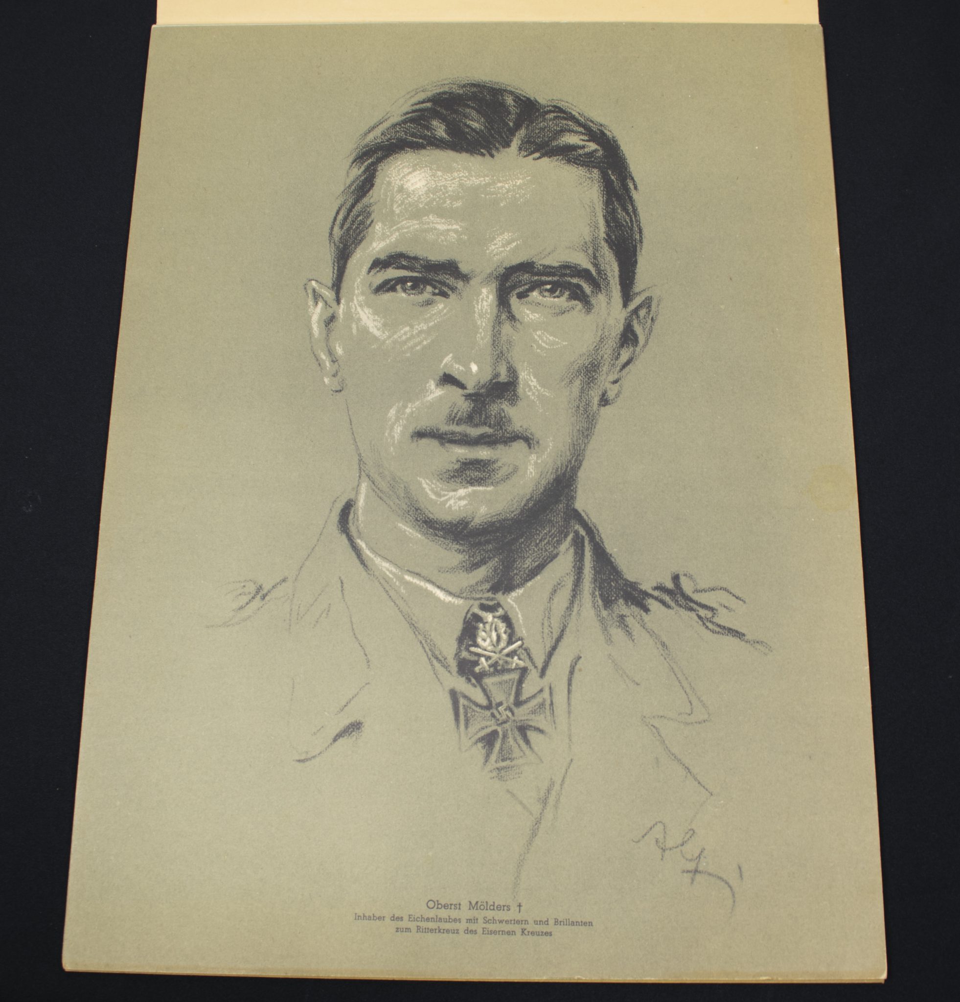 (Large Postersize Art Map) Eichenlaub Ritterkreuz Träger - Serie I - Nach Originalzeichnungen von Prof. A. Gerltenbrand - RARE - Image 15