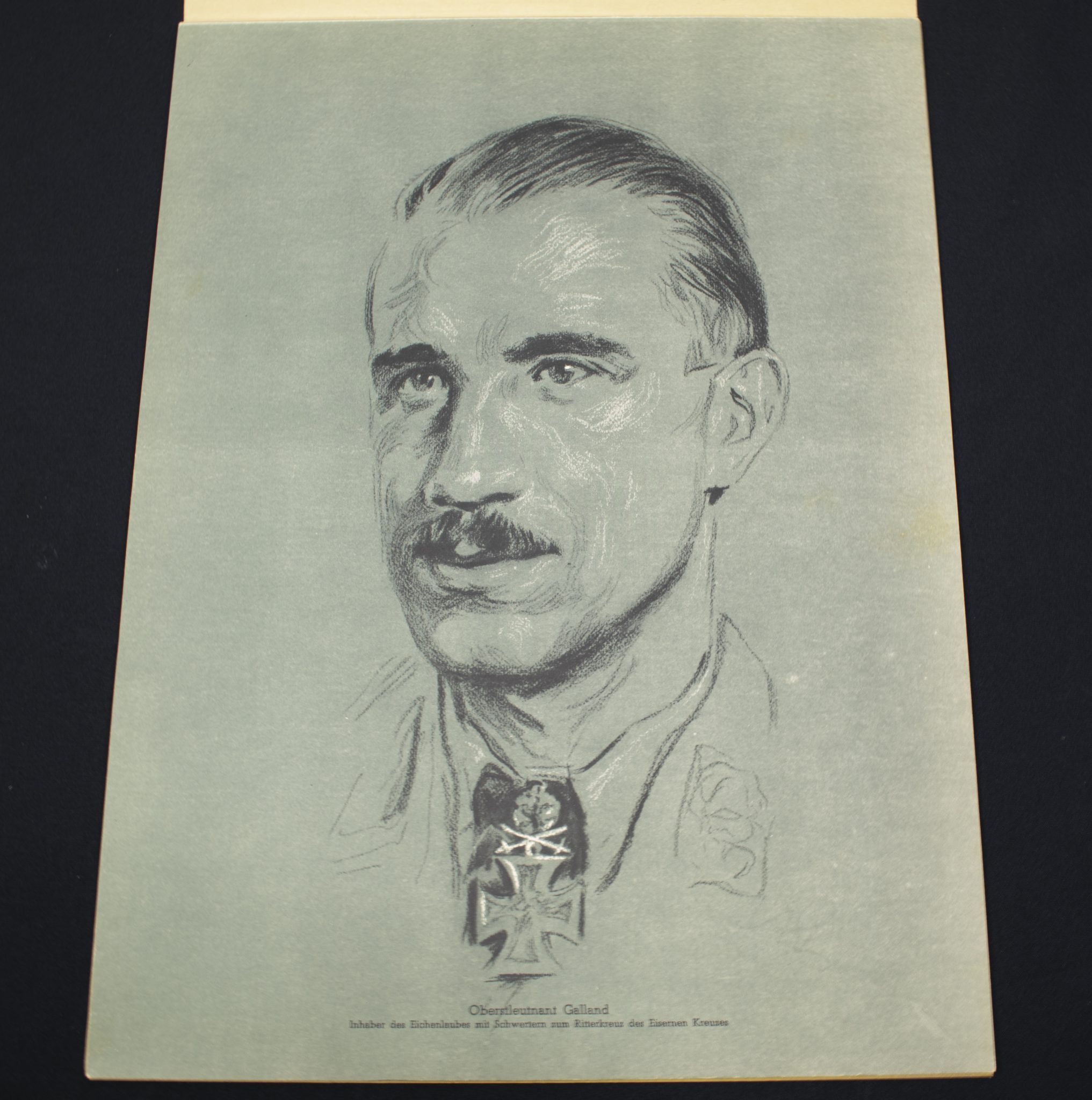 (Large Postersize Art Map) Eichenlaub Ritterkreuz Träger - Serie I - Nach Originalzeichnungen von Prof. A. Gerltenbrand - RARE - Image 16