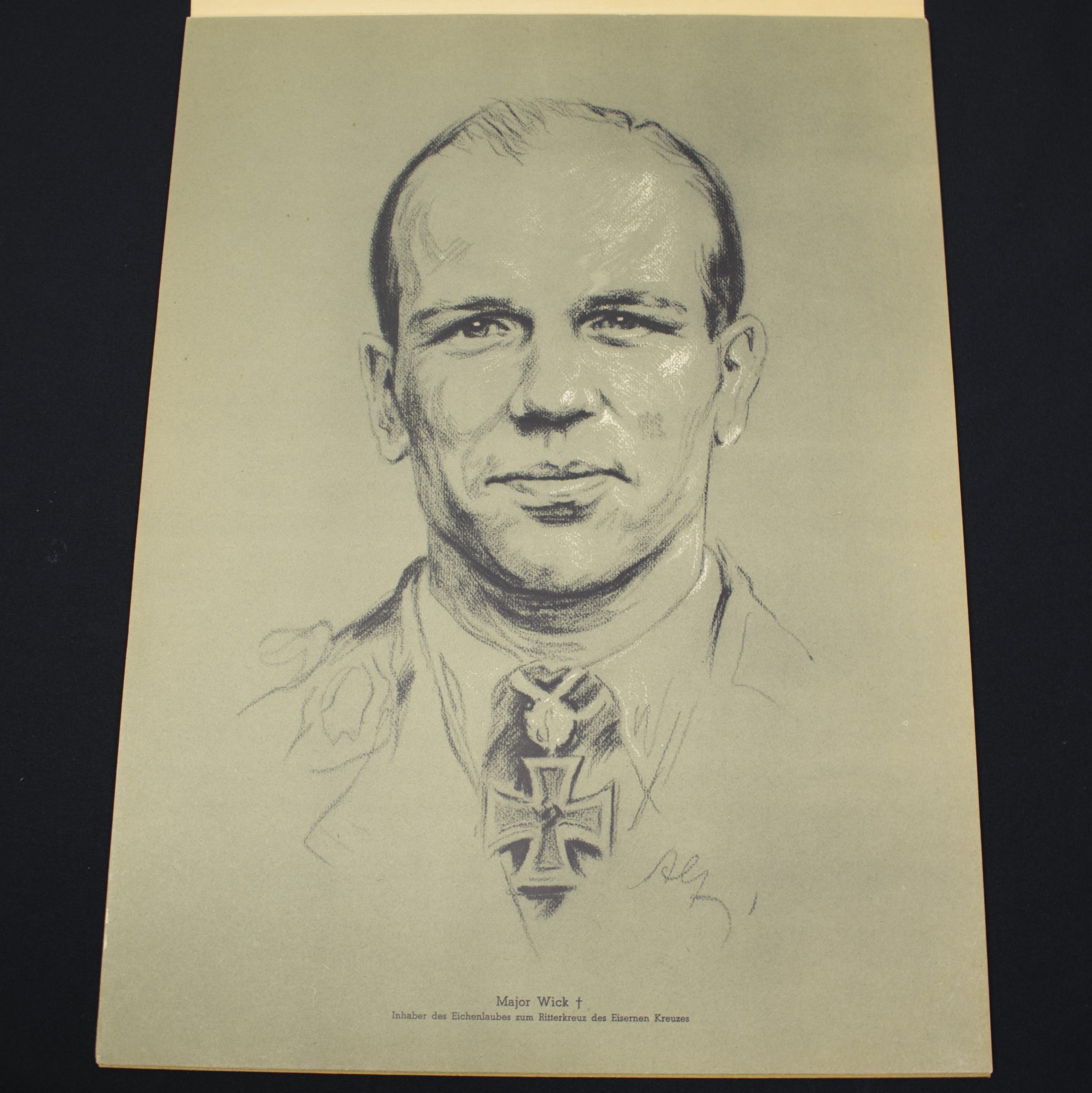 (Large Postersize Art Map) Eichenlaub Ritterkreuz Träger - Serie I - Nach Originalzeichnungen von Prof. A. Gerltenbrand - RARE - Image 17