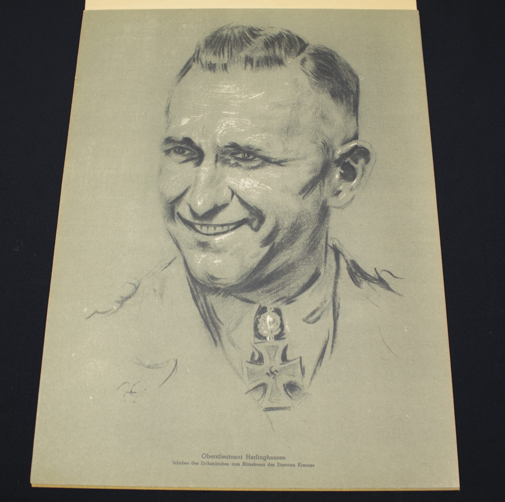 (Large Postersize Art Map) Eichenlaub Ritterkreuz Träger - Serie I - Nach Originalzeichnungen von Prof. A. Gerltenbrand - RARE - Image 21