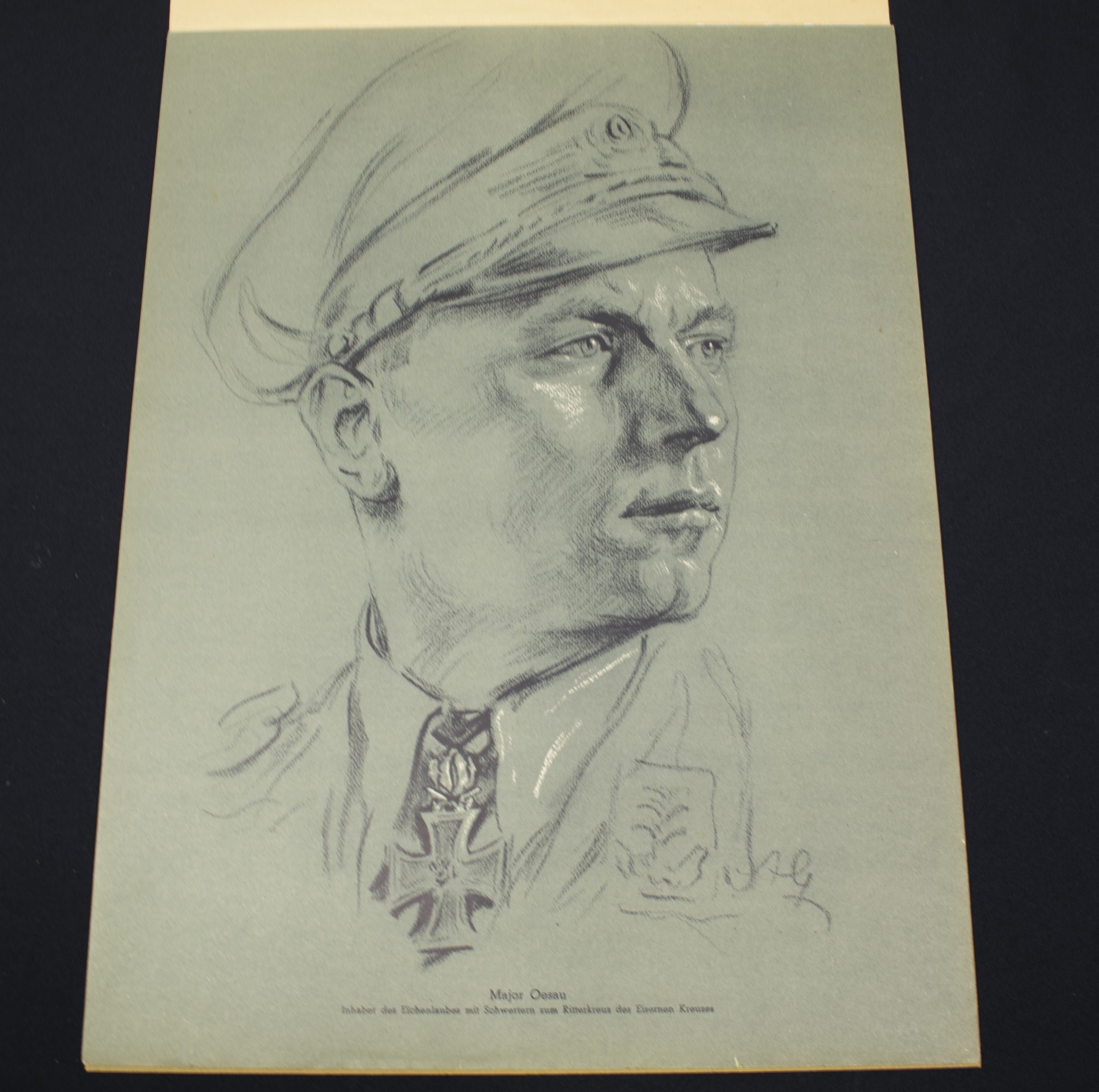 (Large Postersize Art Map) Eichenlaub Ritterkreuz Träger - Serie I - Nach Originalzeichnungen von Prof. A. Gerltenbrand - RARE - Image 22