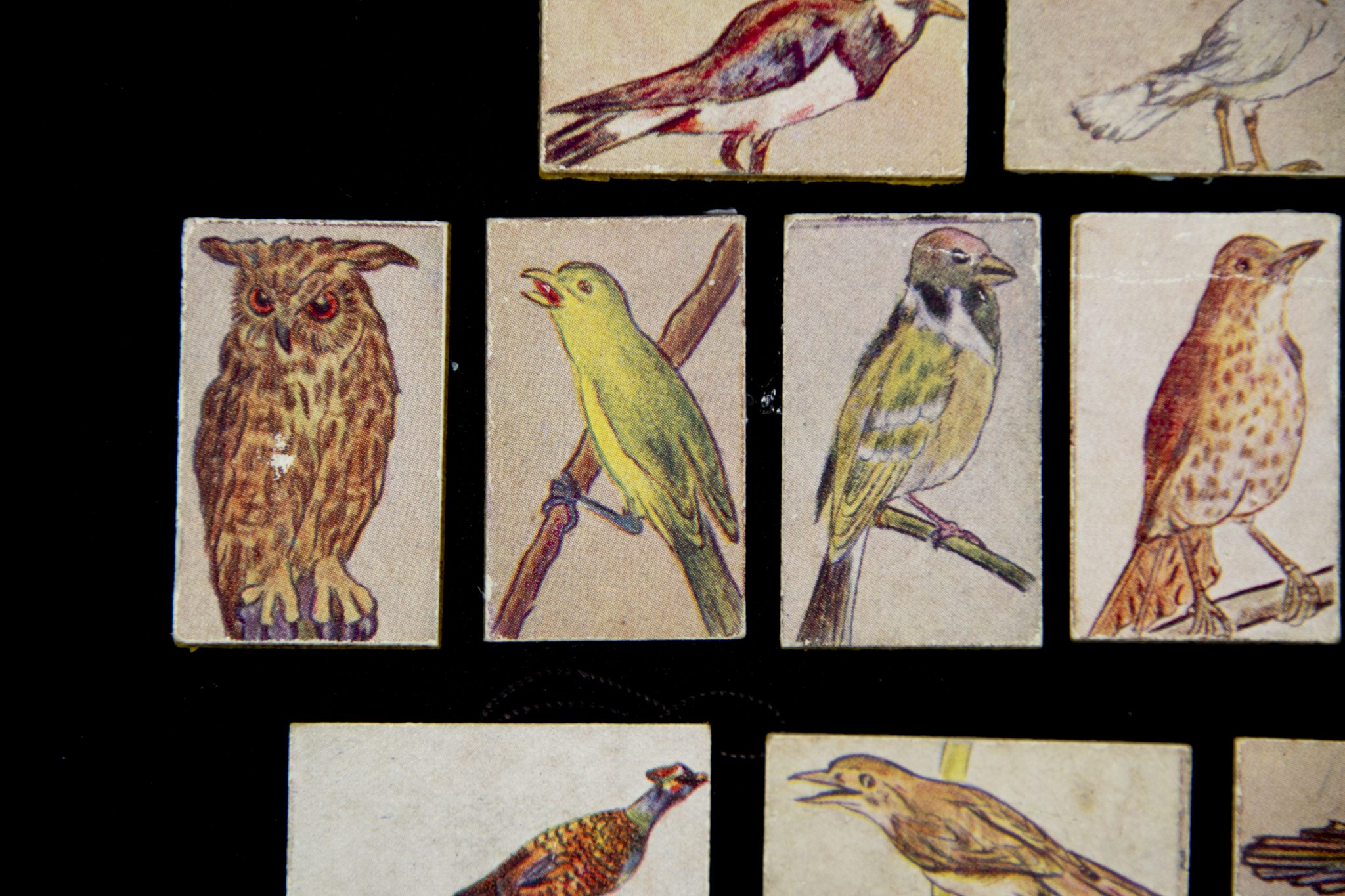 Winterhulp Nederland (WHN) – Vogels (1943)