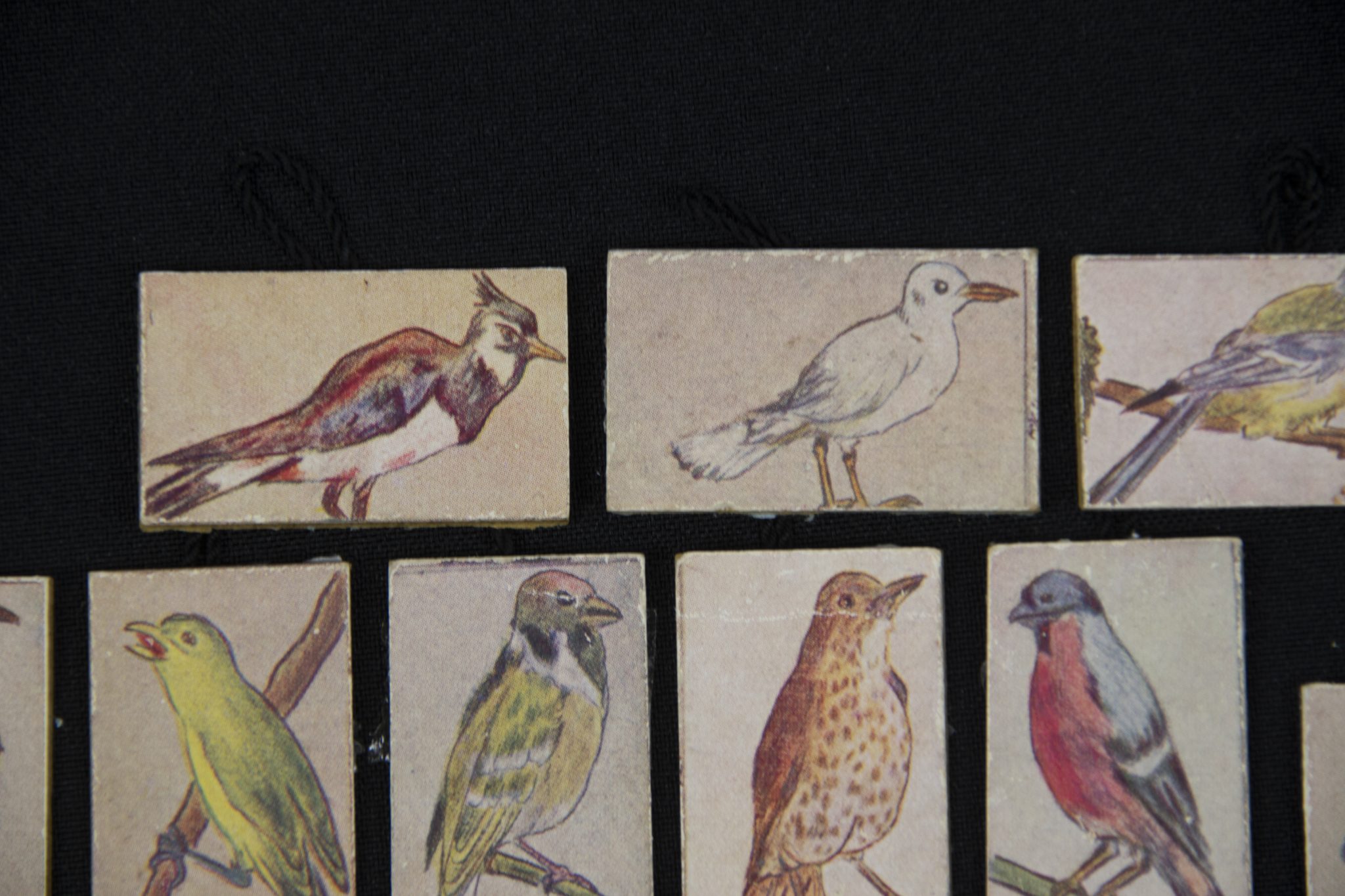 Winterhulp Nederland (WHN) – Vogels (1943)