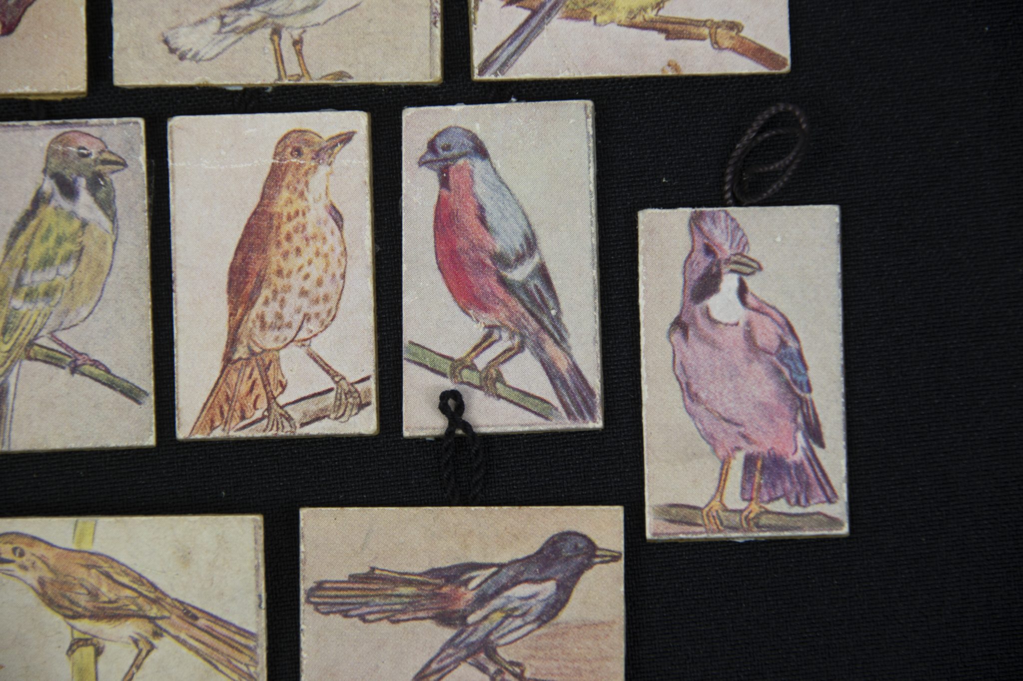 Winterhulp Nederland (WHN) – Vogels (1943)