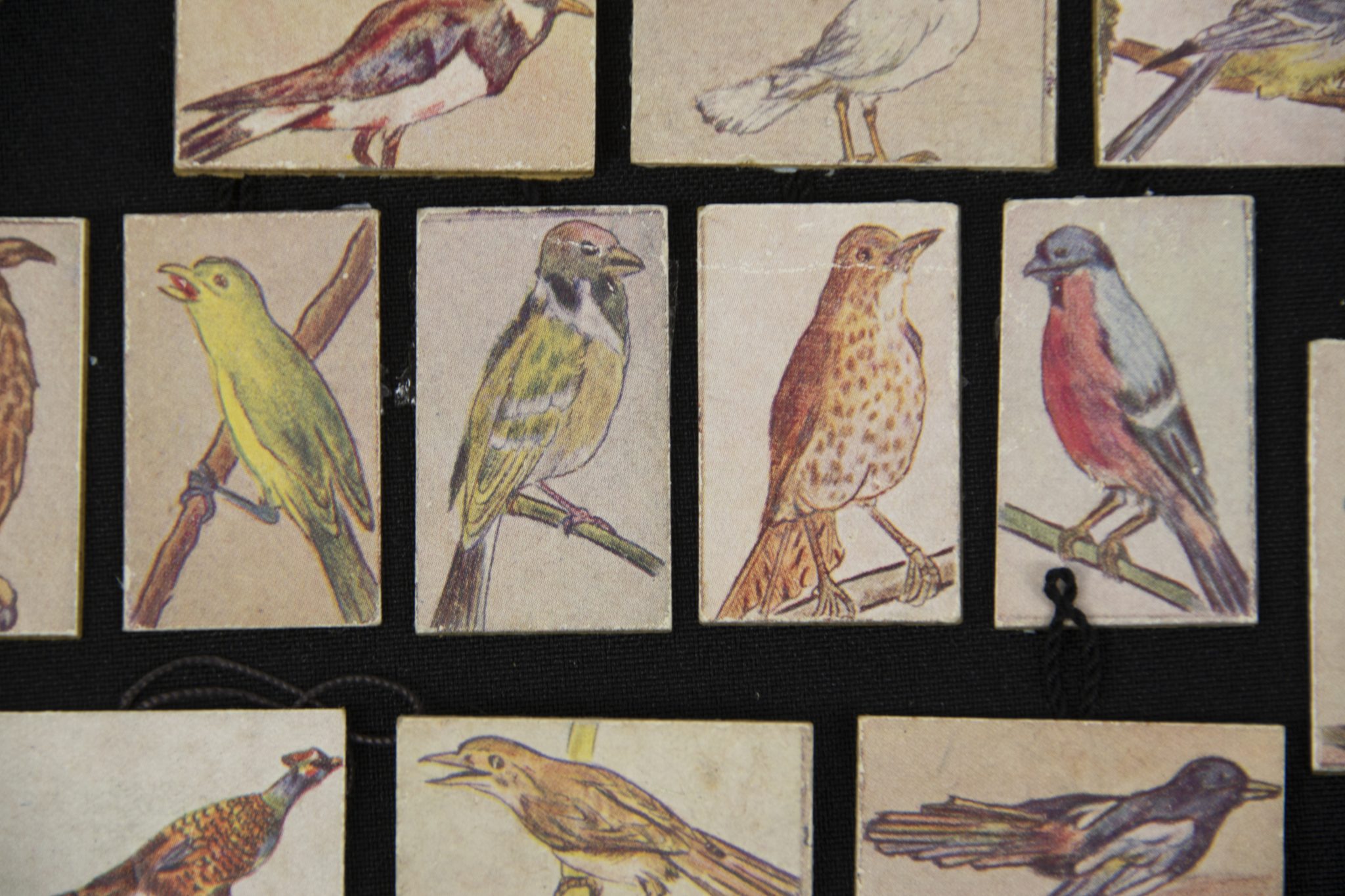 Winterhulp Nederland (WHN) – Vogels (1943)